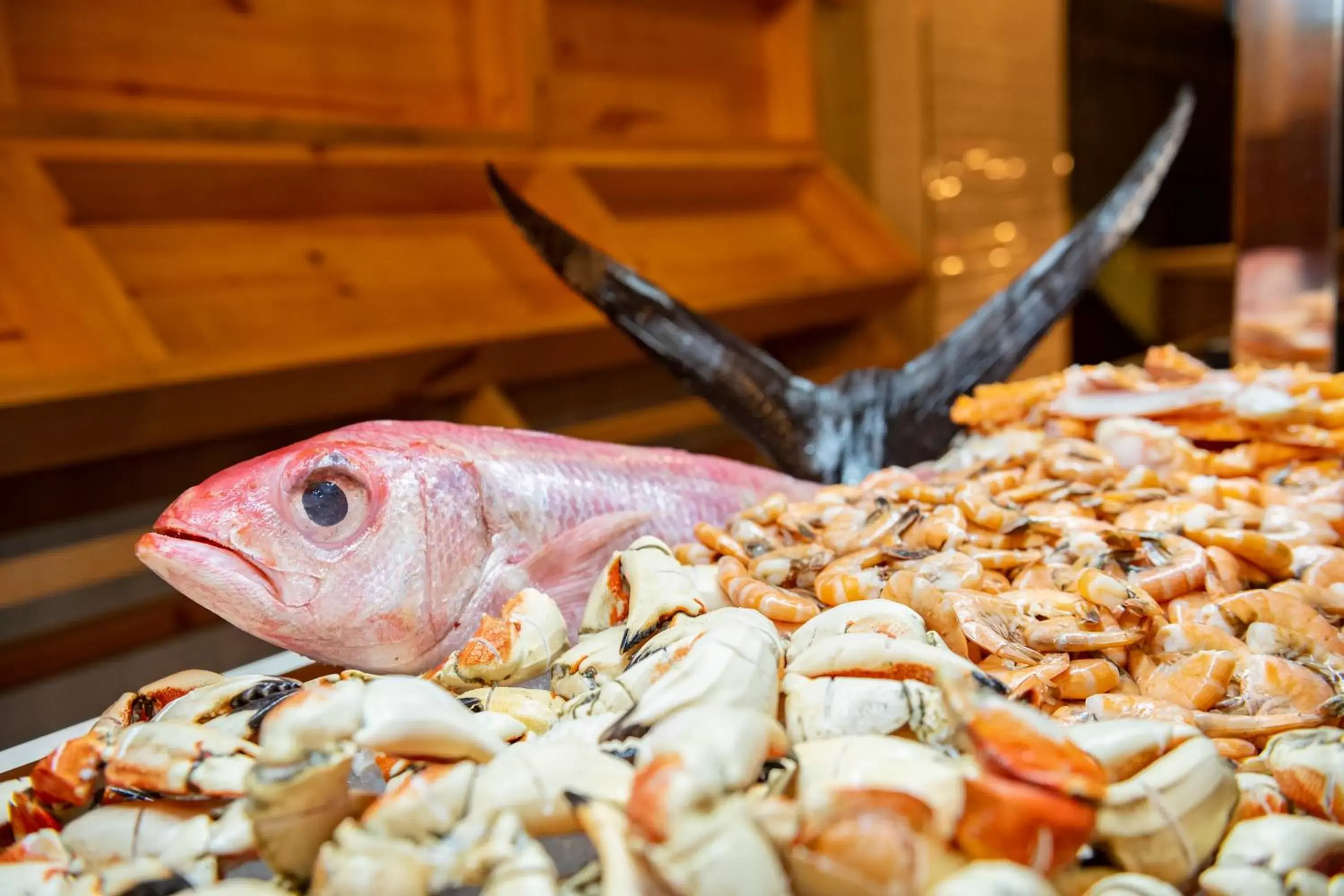 Food in Hyatt Ziva Cap Cana Food in Hyatt Ziva Cap Cana