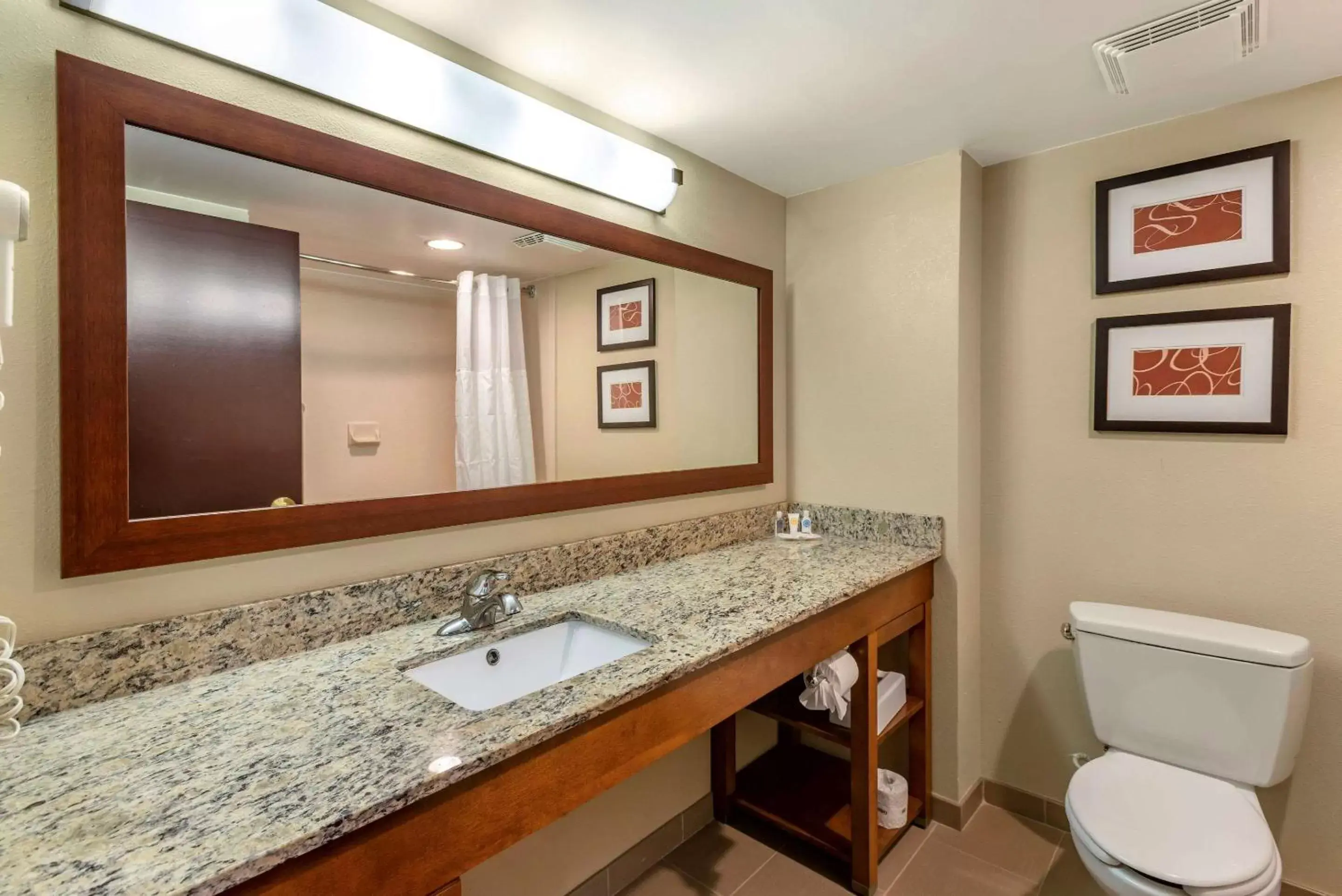 Bathroom in Comfort Suites Newark - Harrison