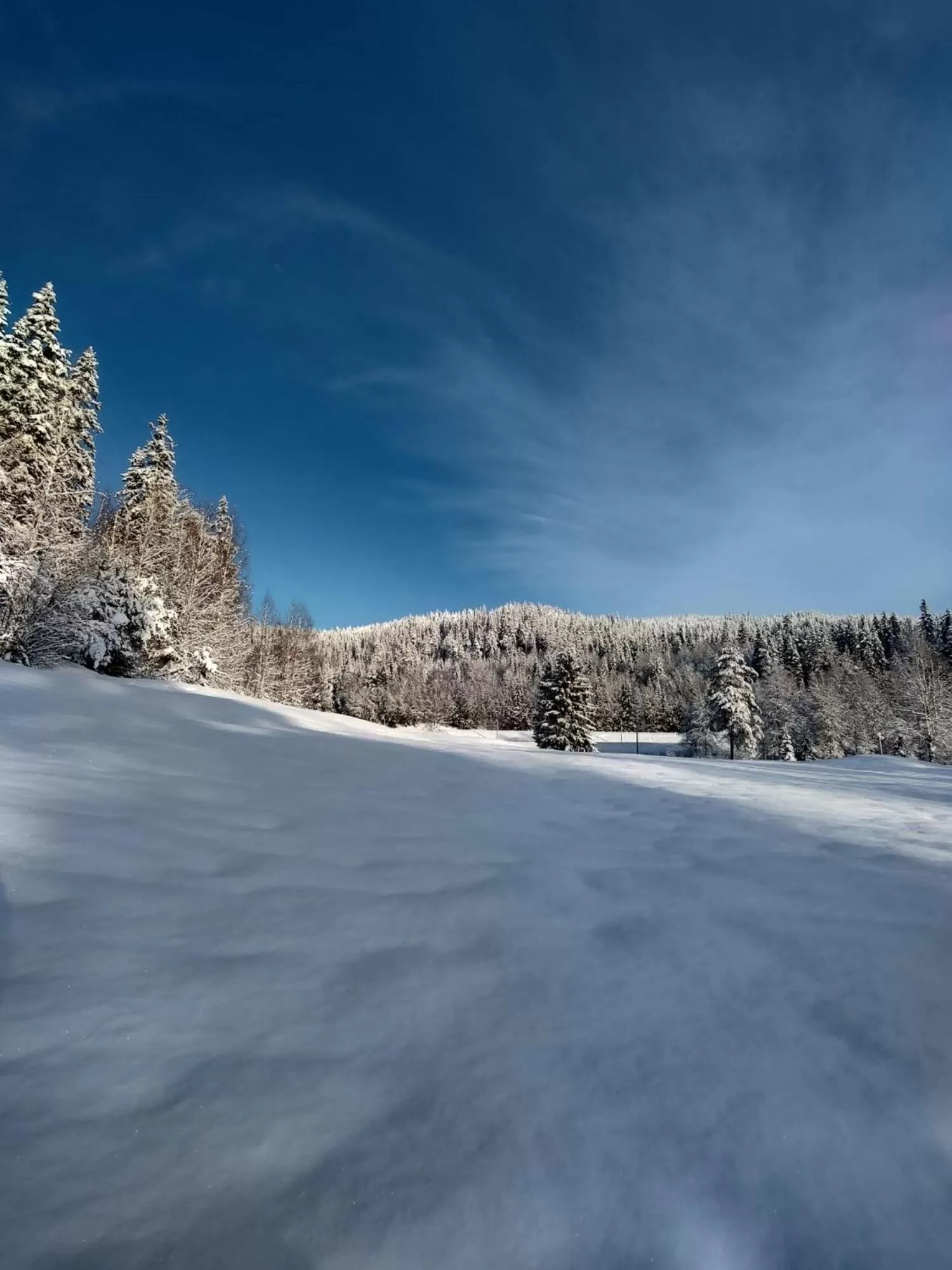 Winter in Värdshuset Lugnet