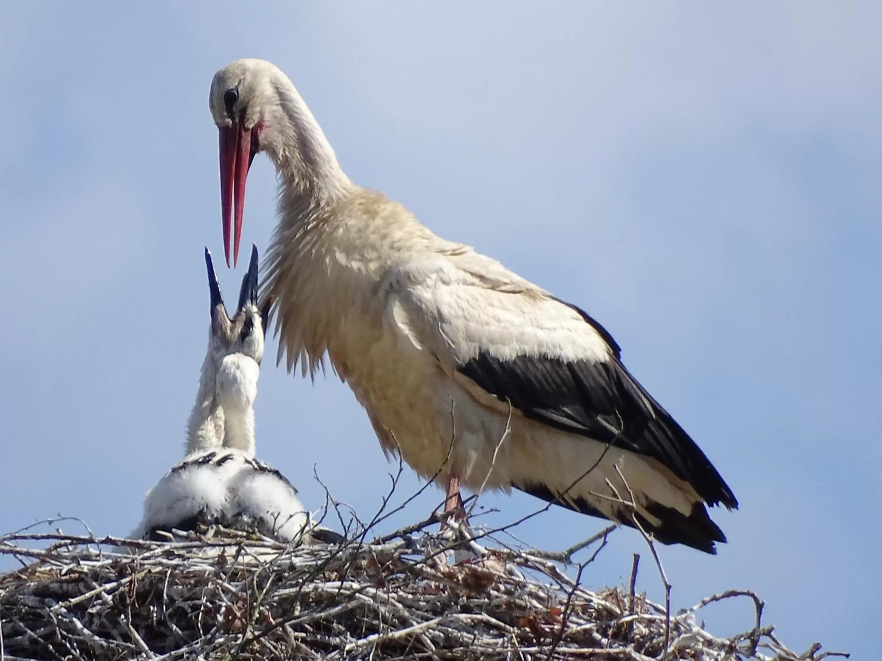 Château de la Verie