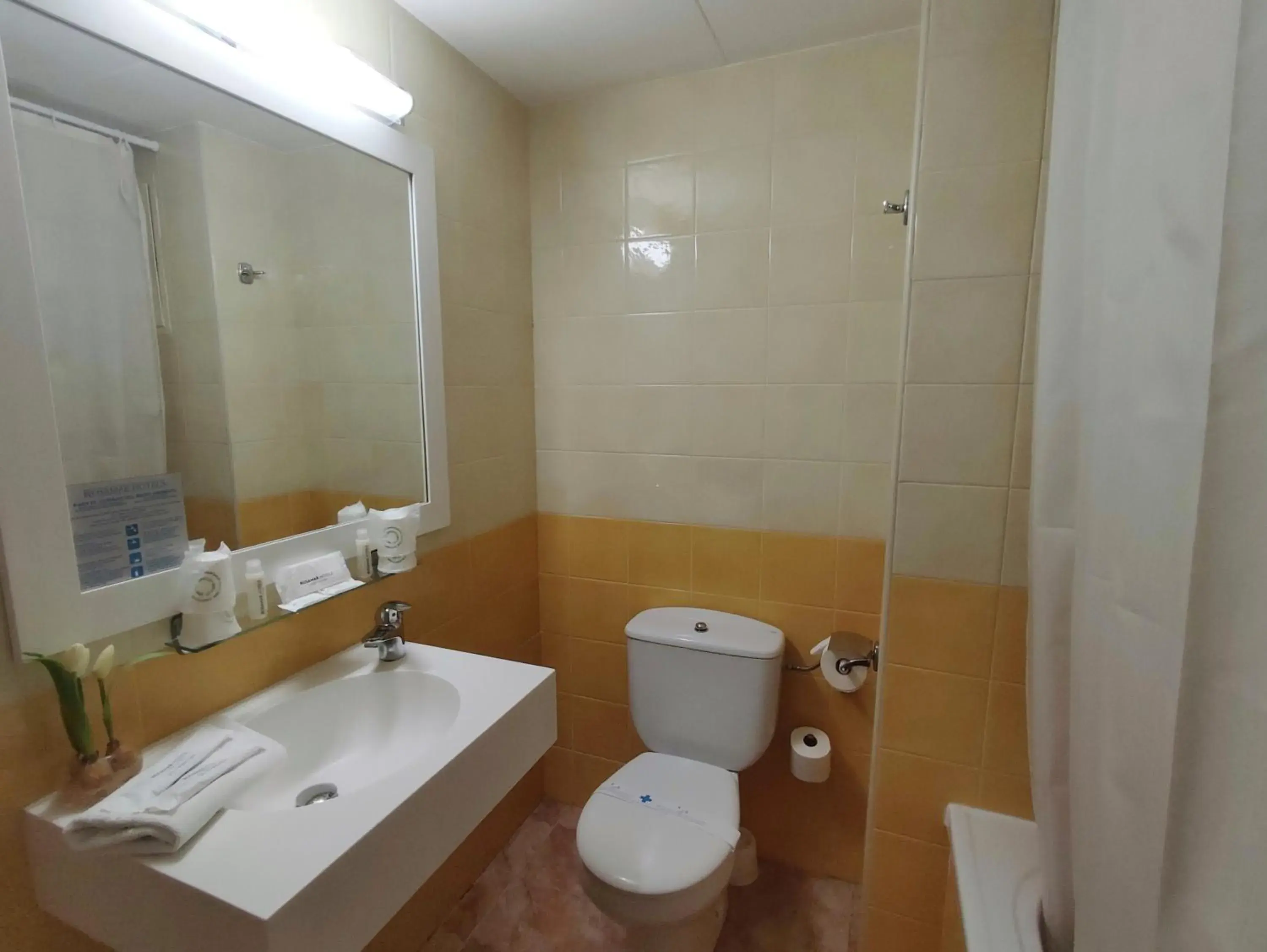 Bath, Bathroom in Hotel Rosamar Maritim