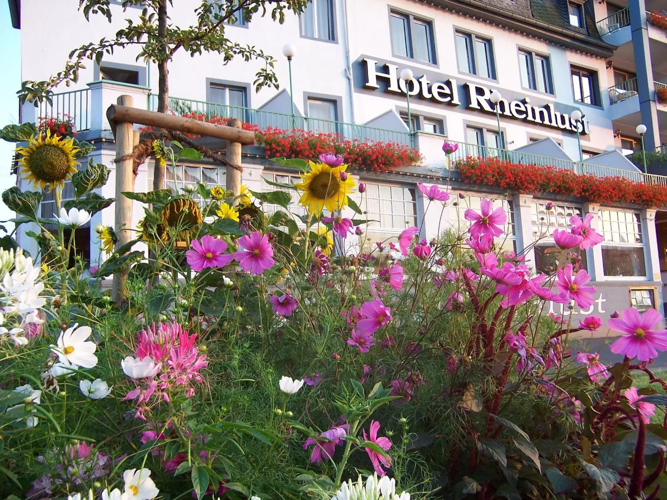 Facade/entrance in Hotel Rheinlust