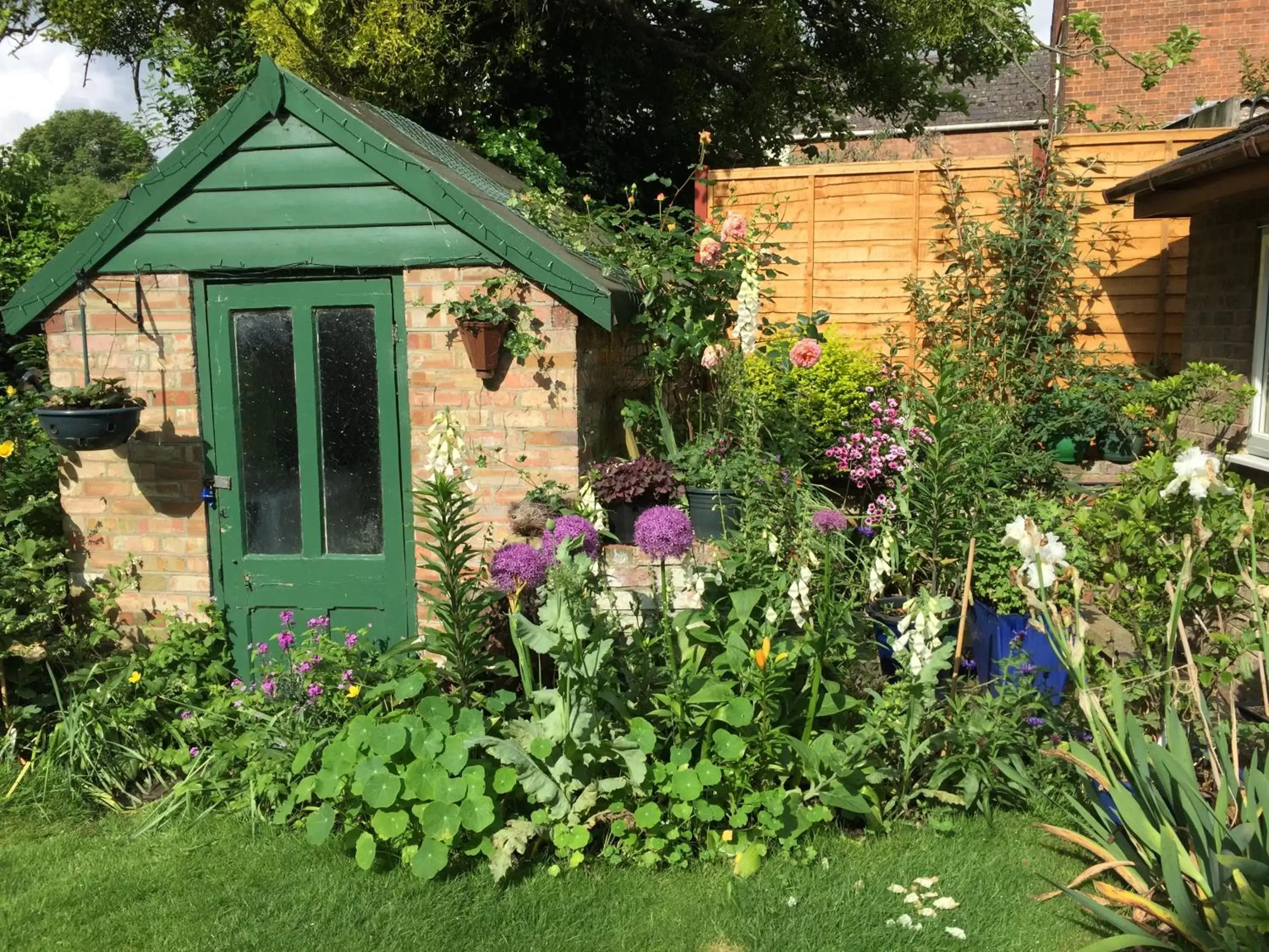 Garden in Fairlight Lodge