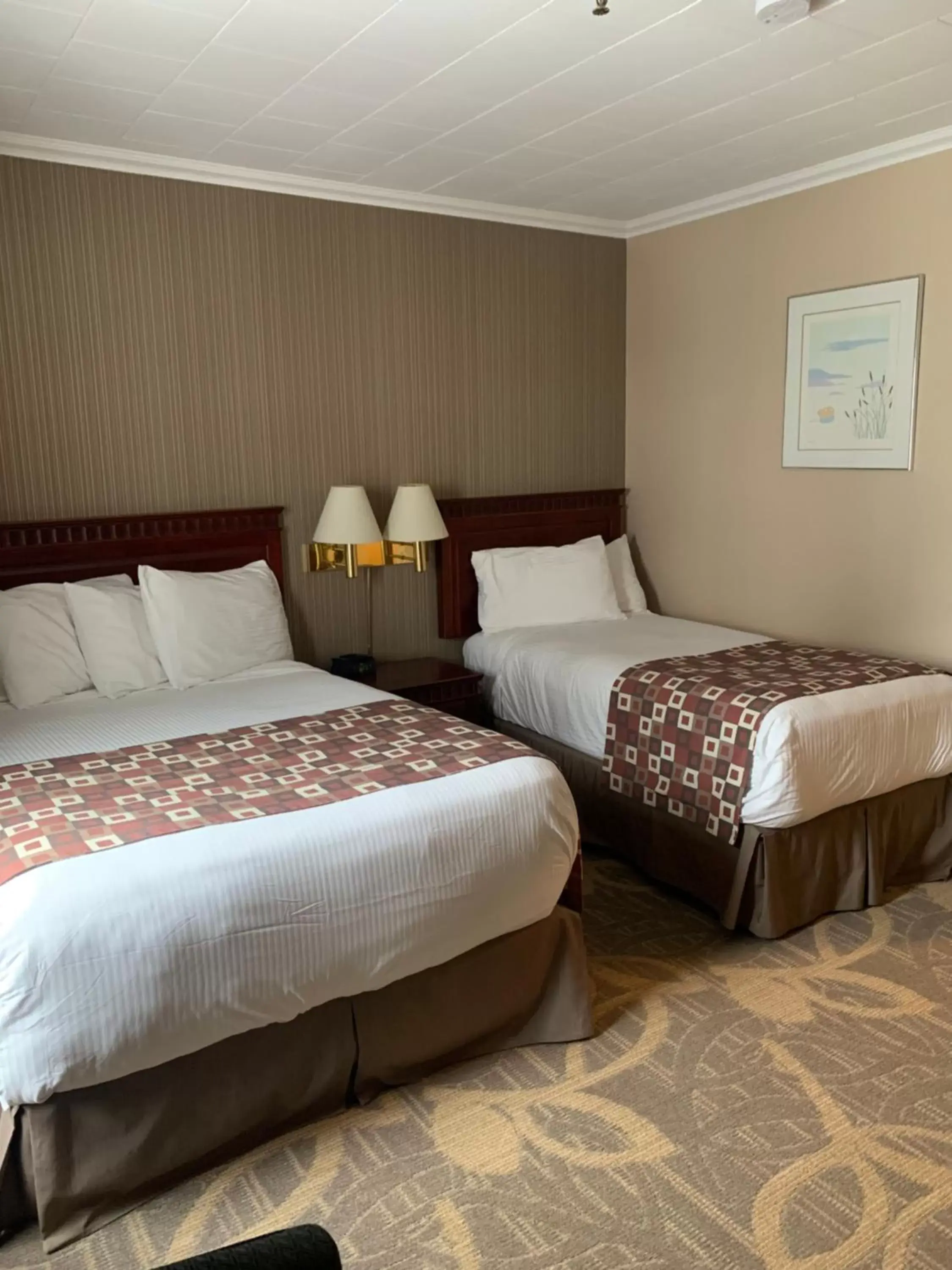 Bed in Albatross Hotel