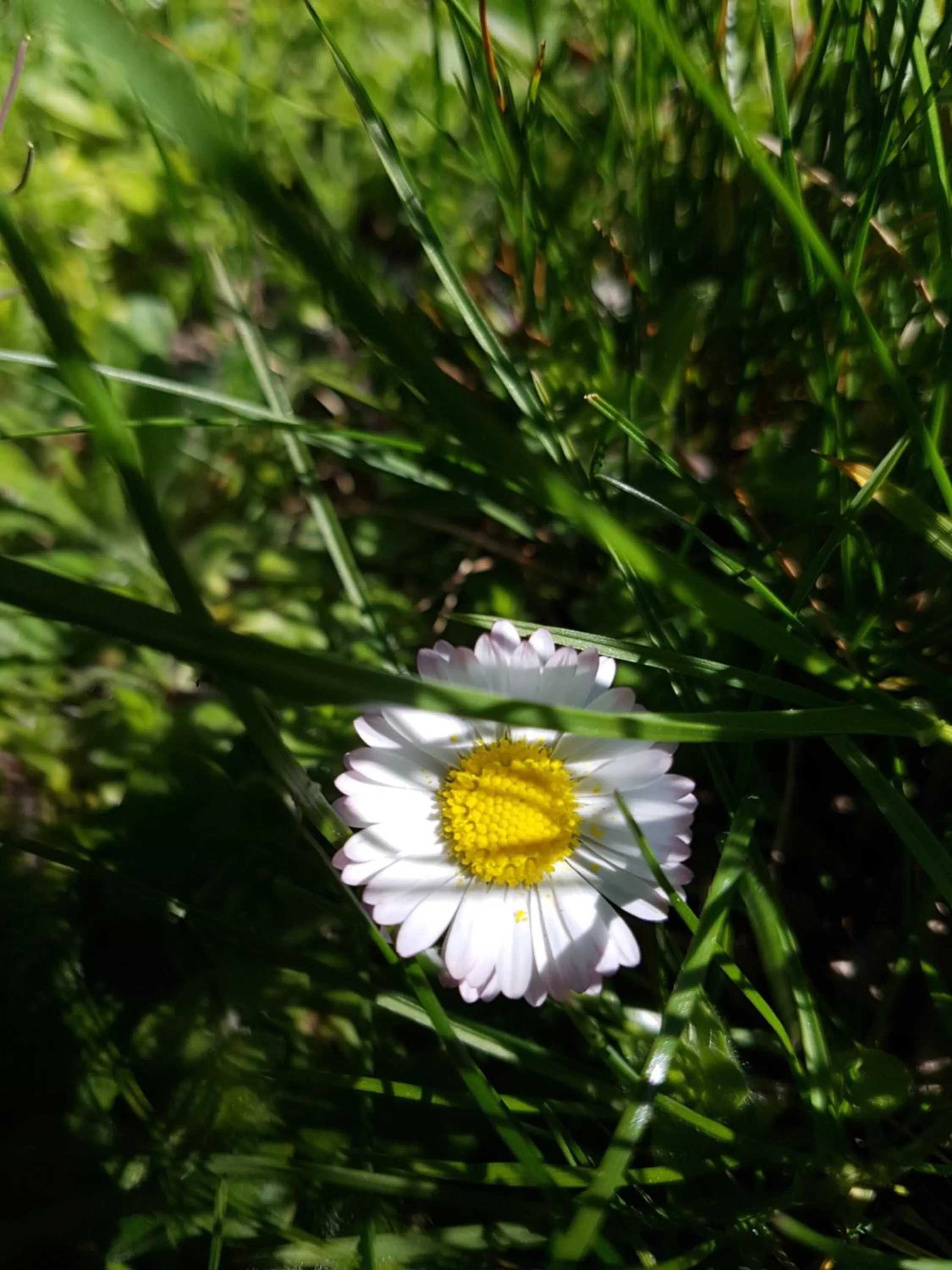 Day in Kurhotel Anders