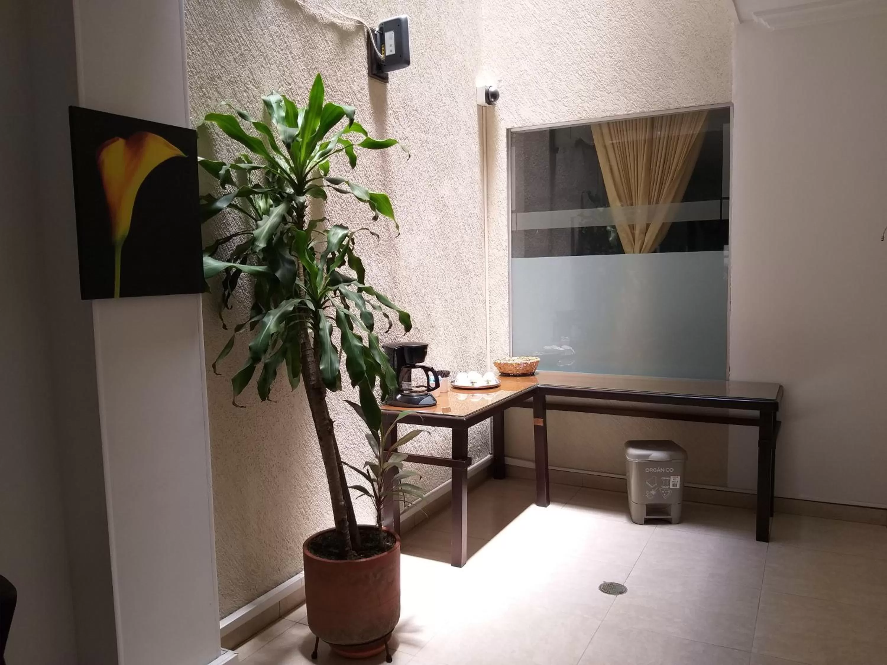 Area and facilities in Pampalinda Hotel