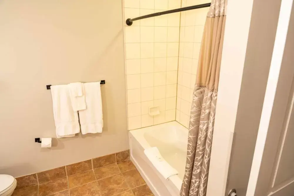 Shower, Bathroom in The Appalachian at Mountain Creek