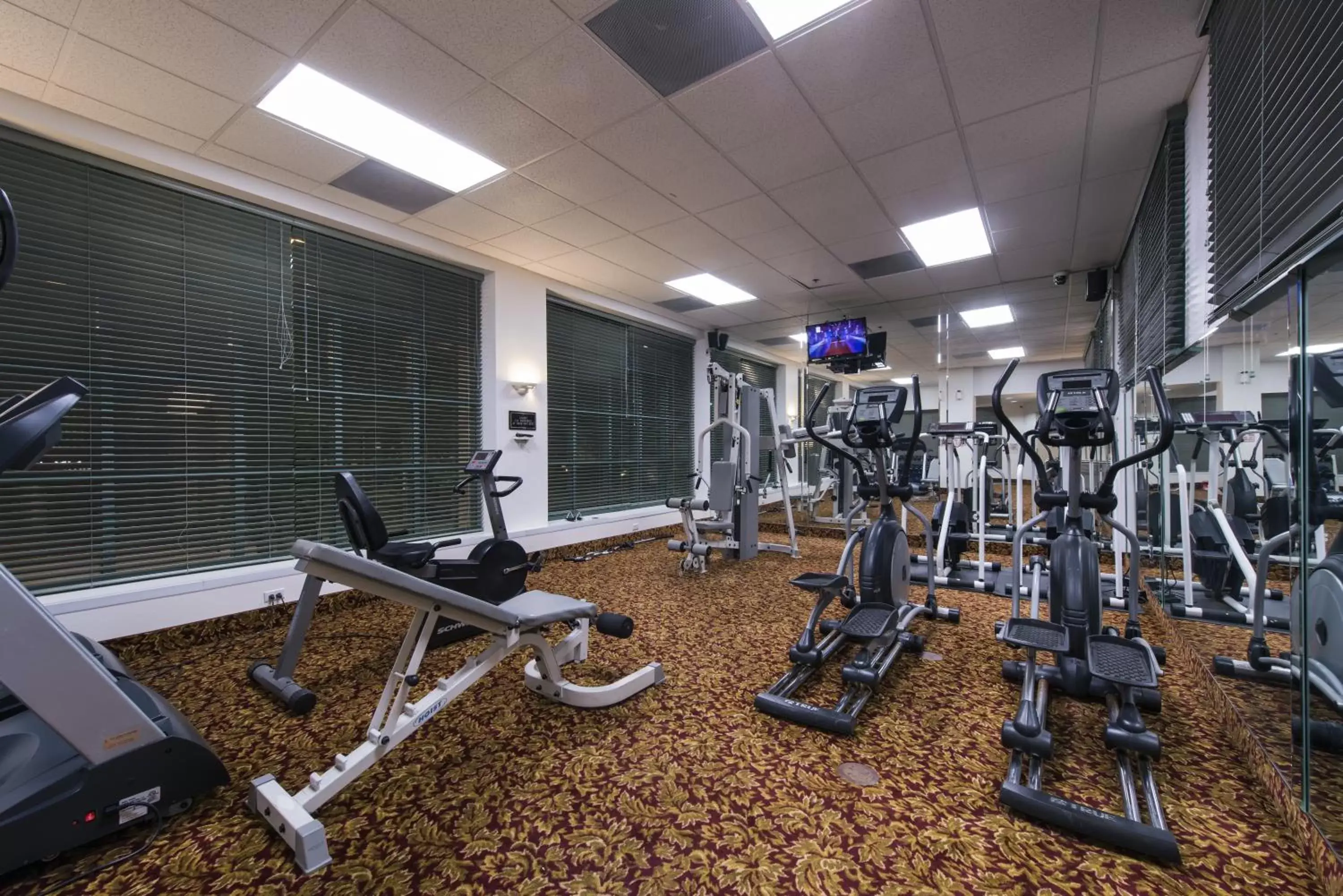 Fitness centre/facilities, Fitness Center/Facilities in Grand Vista Hotel