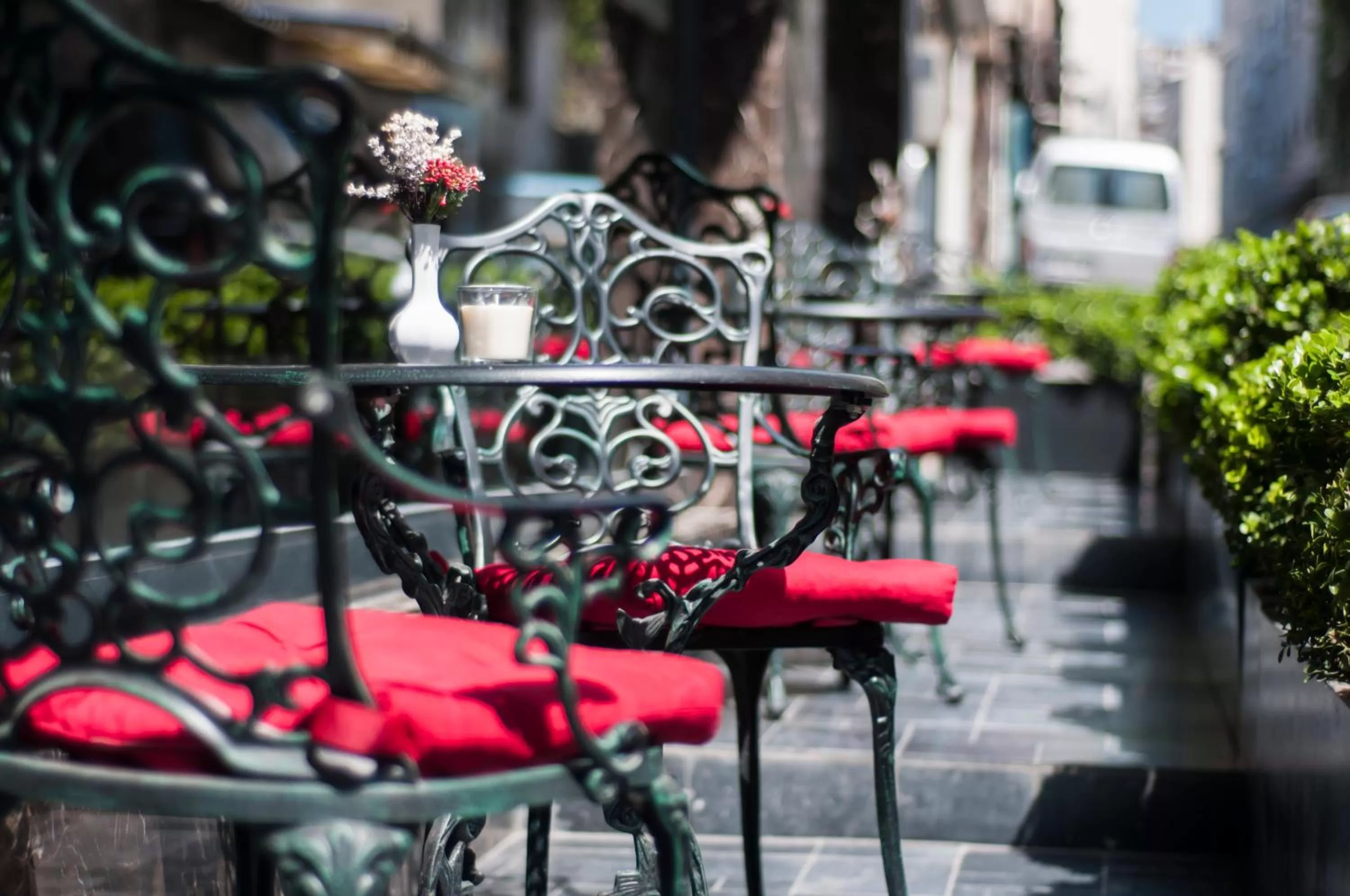 Garden view in Dencity Hotels & Spa