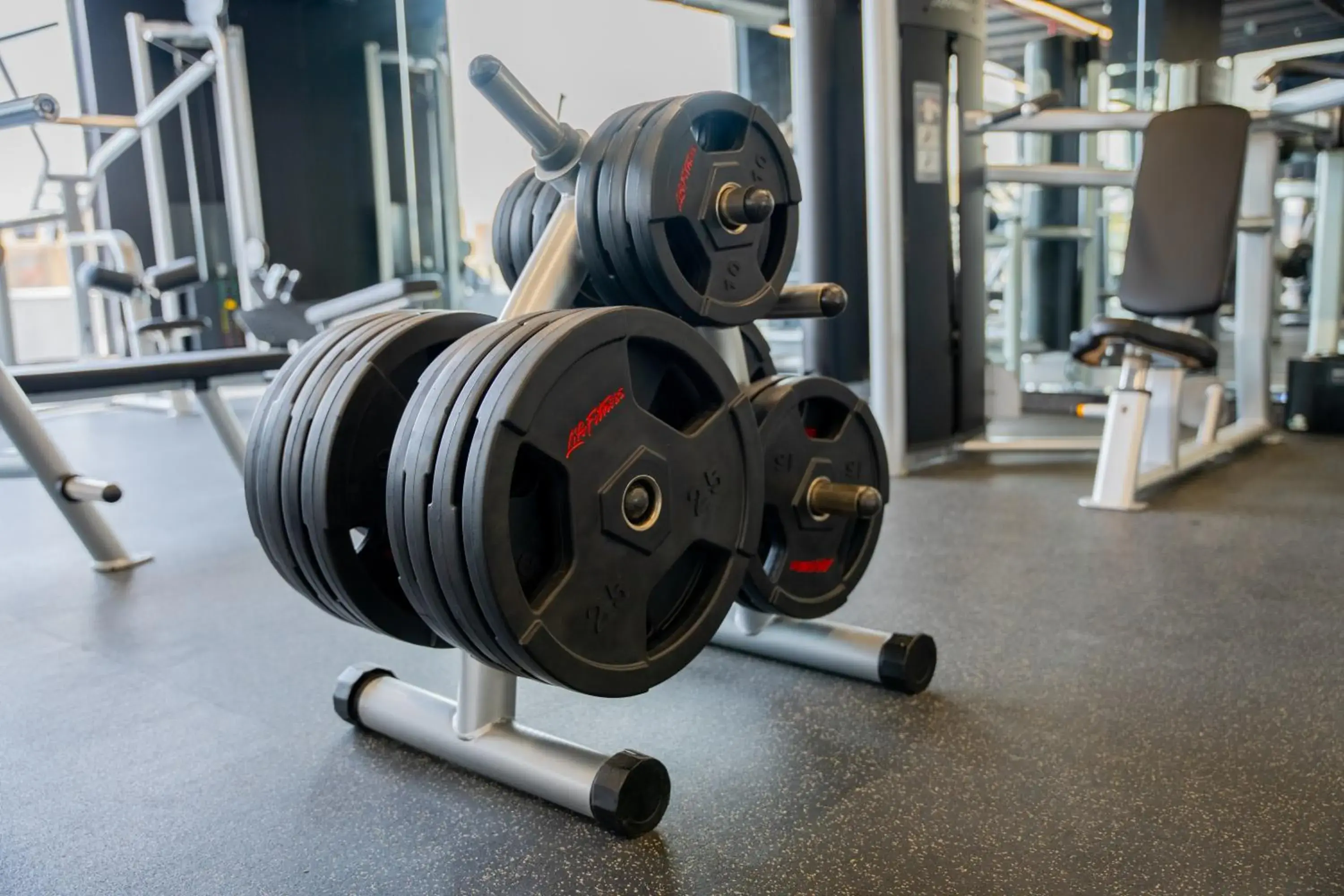 Fitness centre/facilities, Fitness Center/Facilities in Address Al Hamra Hotel