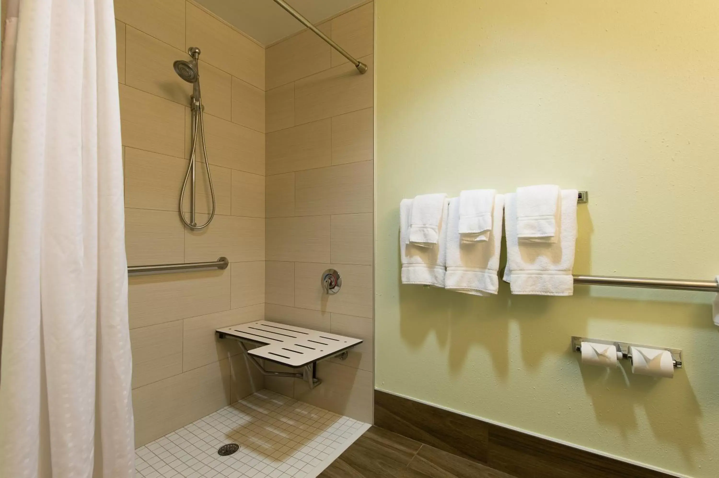 Photo of the whole room, Bathroom in Holiday Inn Express & Suites Walterboro, an IHG Hotel