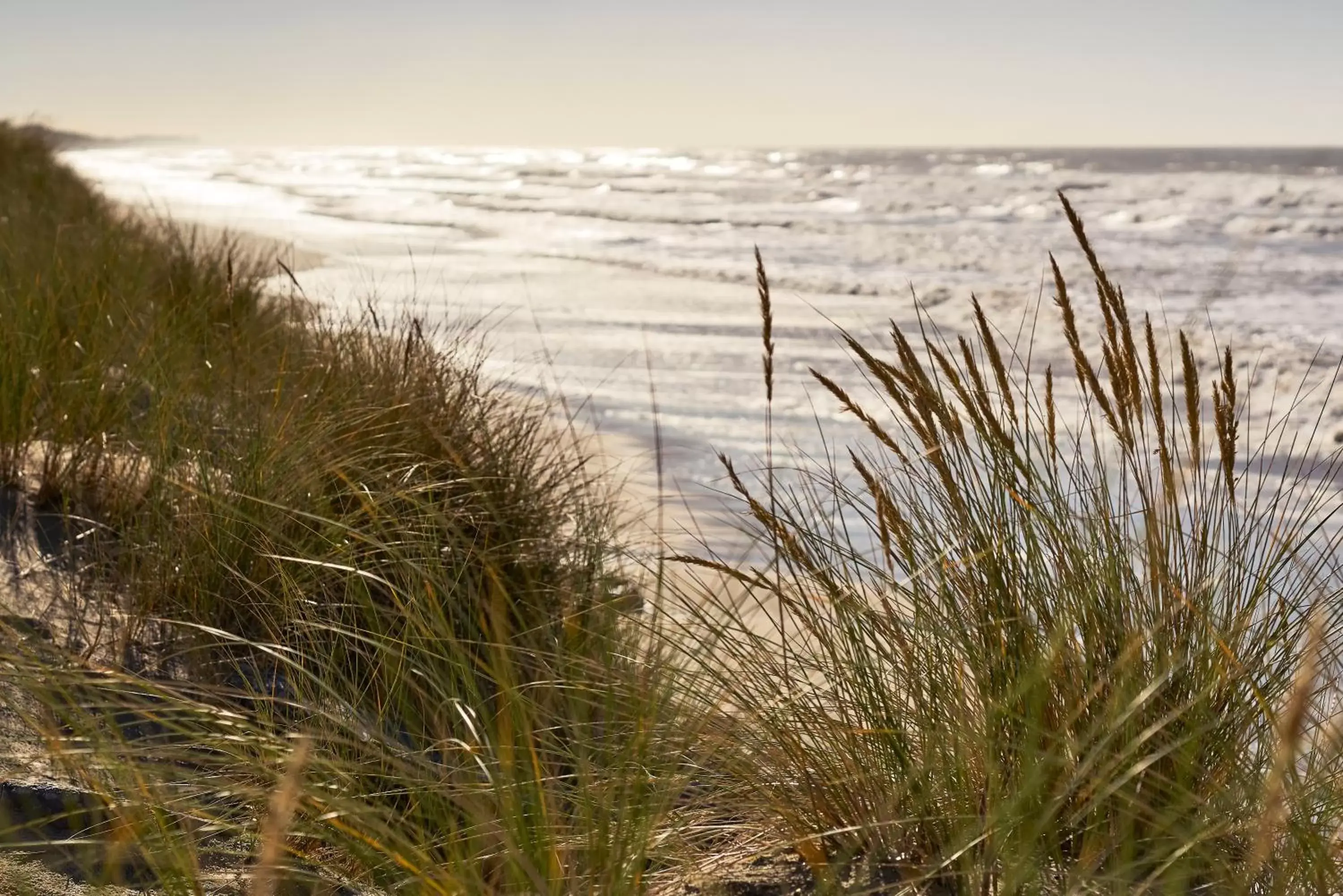 Beach in Novotel Thalassa Le Touquet