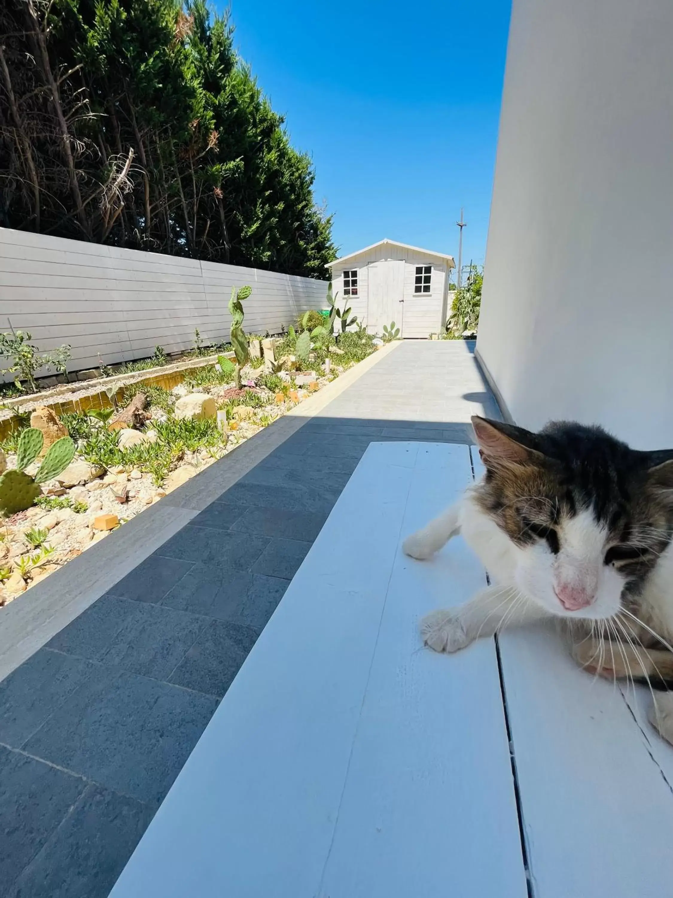 Pets, Swimming Pool in La casa di Nina