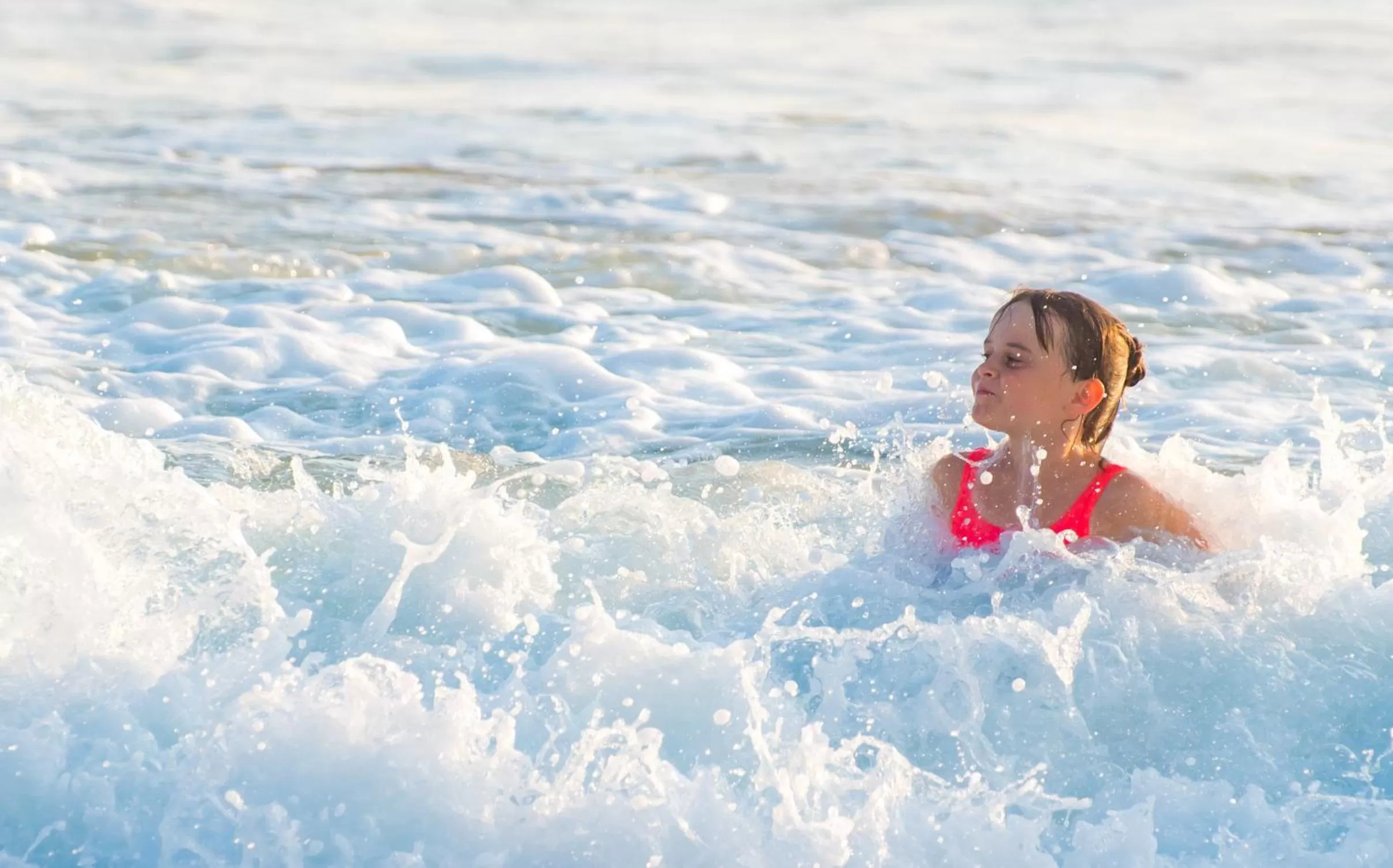 Beach in Ballena Regency