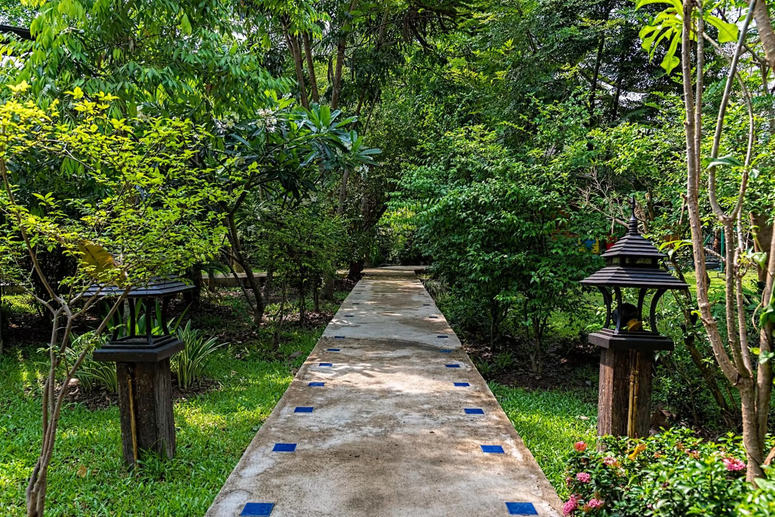 Natural landscape in Little Village Chiang Mai