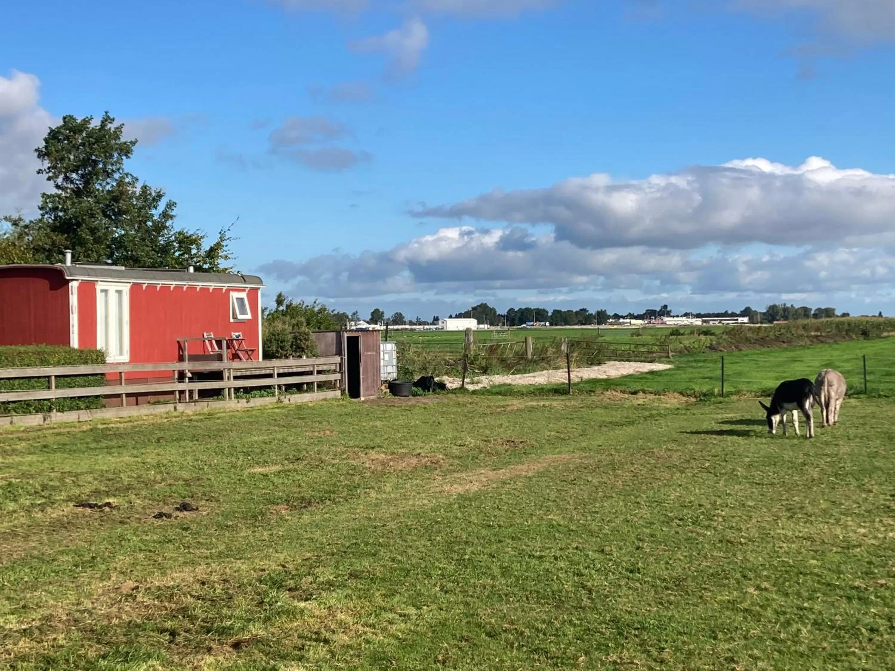 Day in B&B Zunderdorp