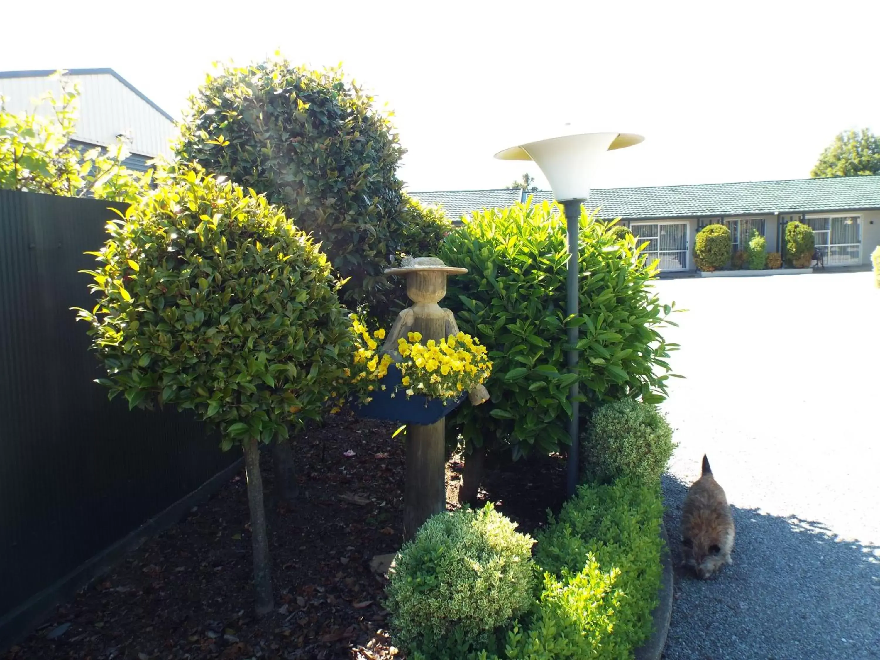 Garden in Andorra Motel