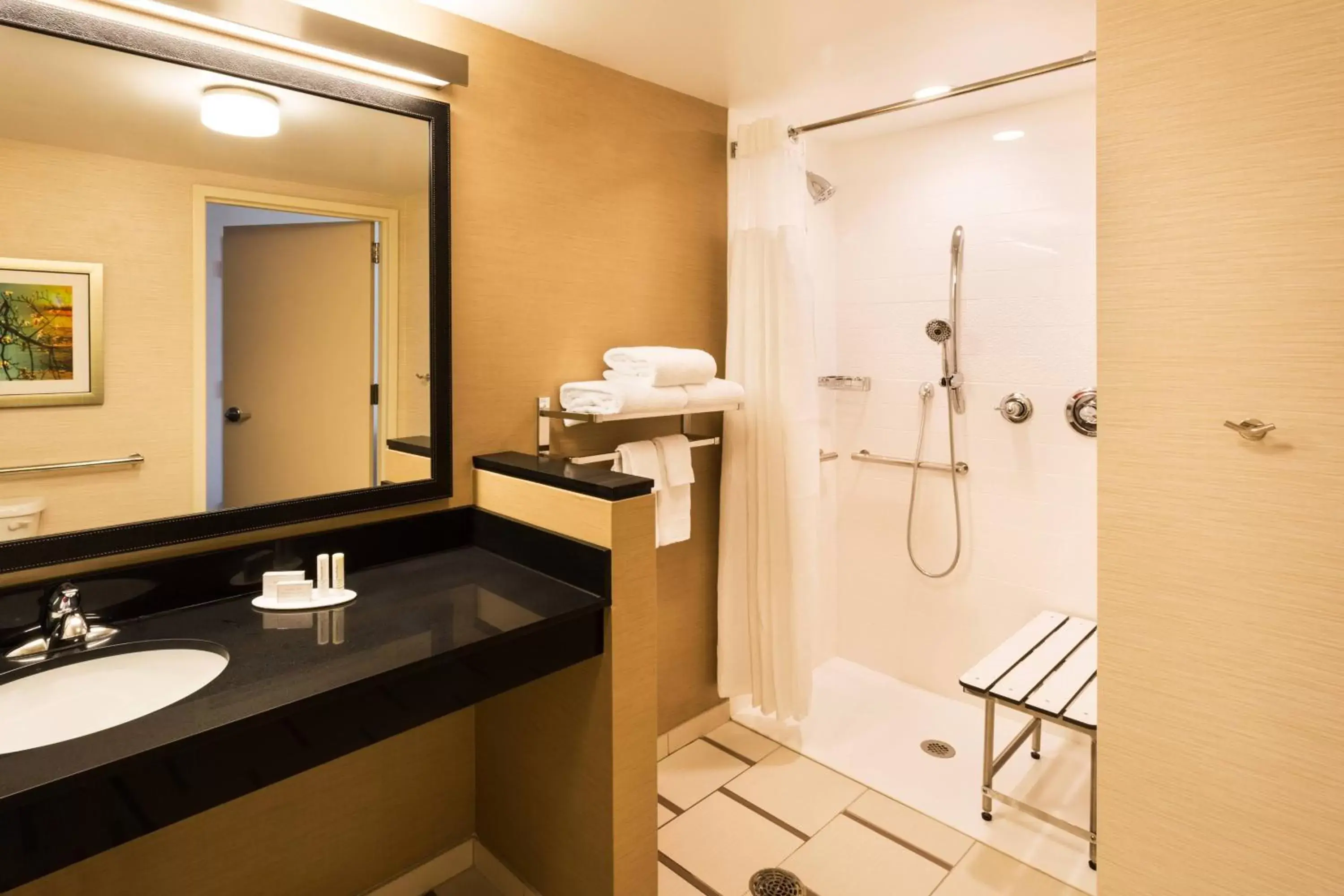 Bathroom in Fairfield Inn & Suites by Marriott Johnson City