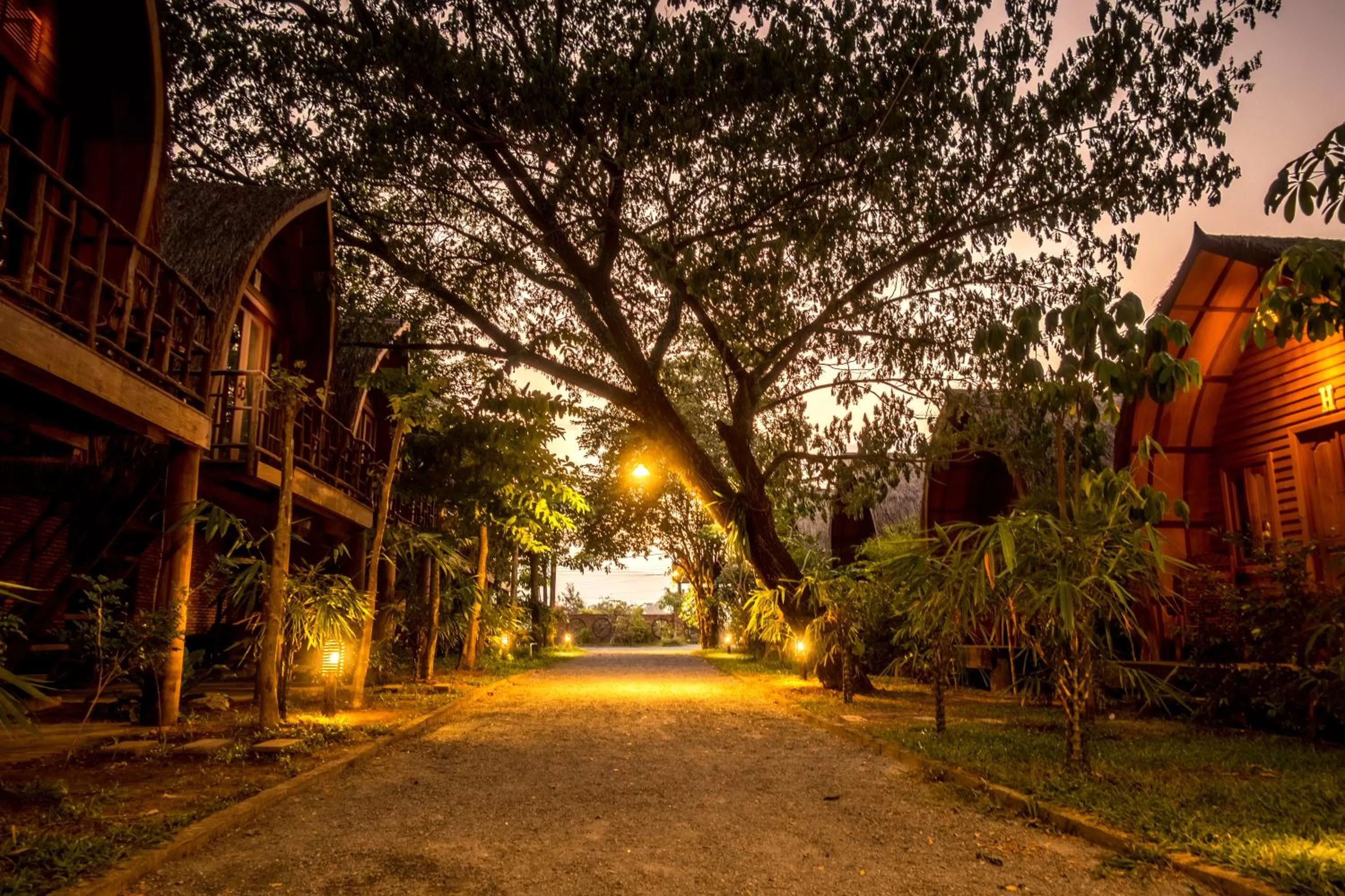 Garden view in Bamboo Bungalow