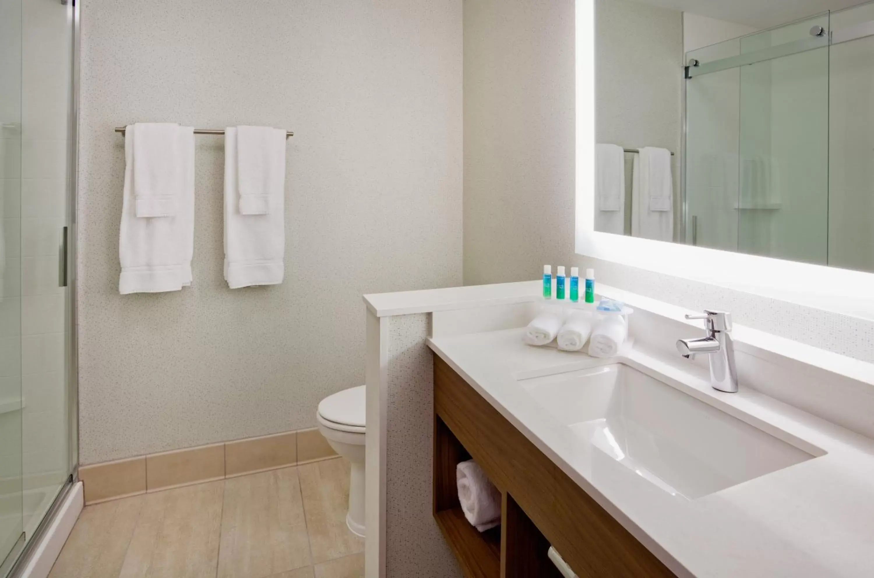 Bathroom in Holiday Inn Express and Suites Des Moines Downtown, an IHG Hotel