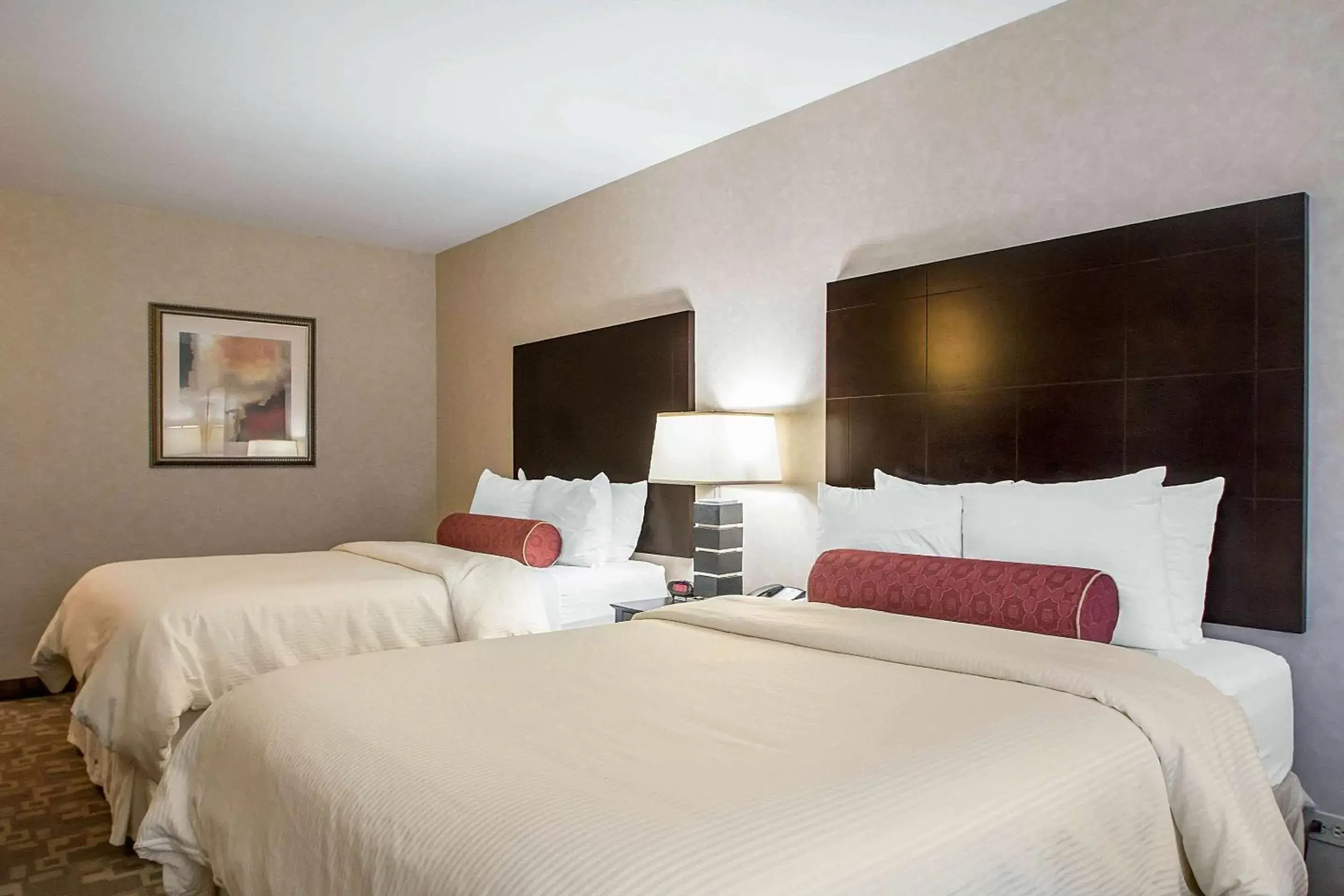 Photo of the whole room, Bed in Clarion Inn Elmhurst - Oak Brook near I-88 I-290 I-294