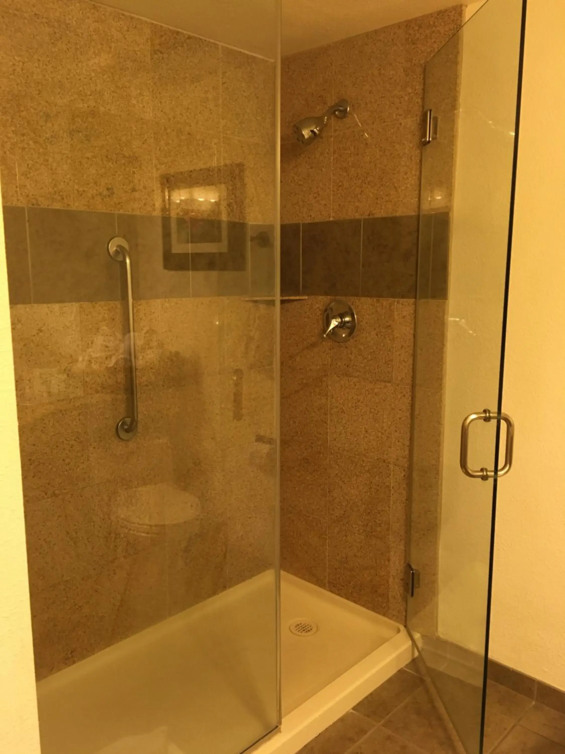Shower, Bathroom in Wyndham Garden Hotel Austin