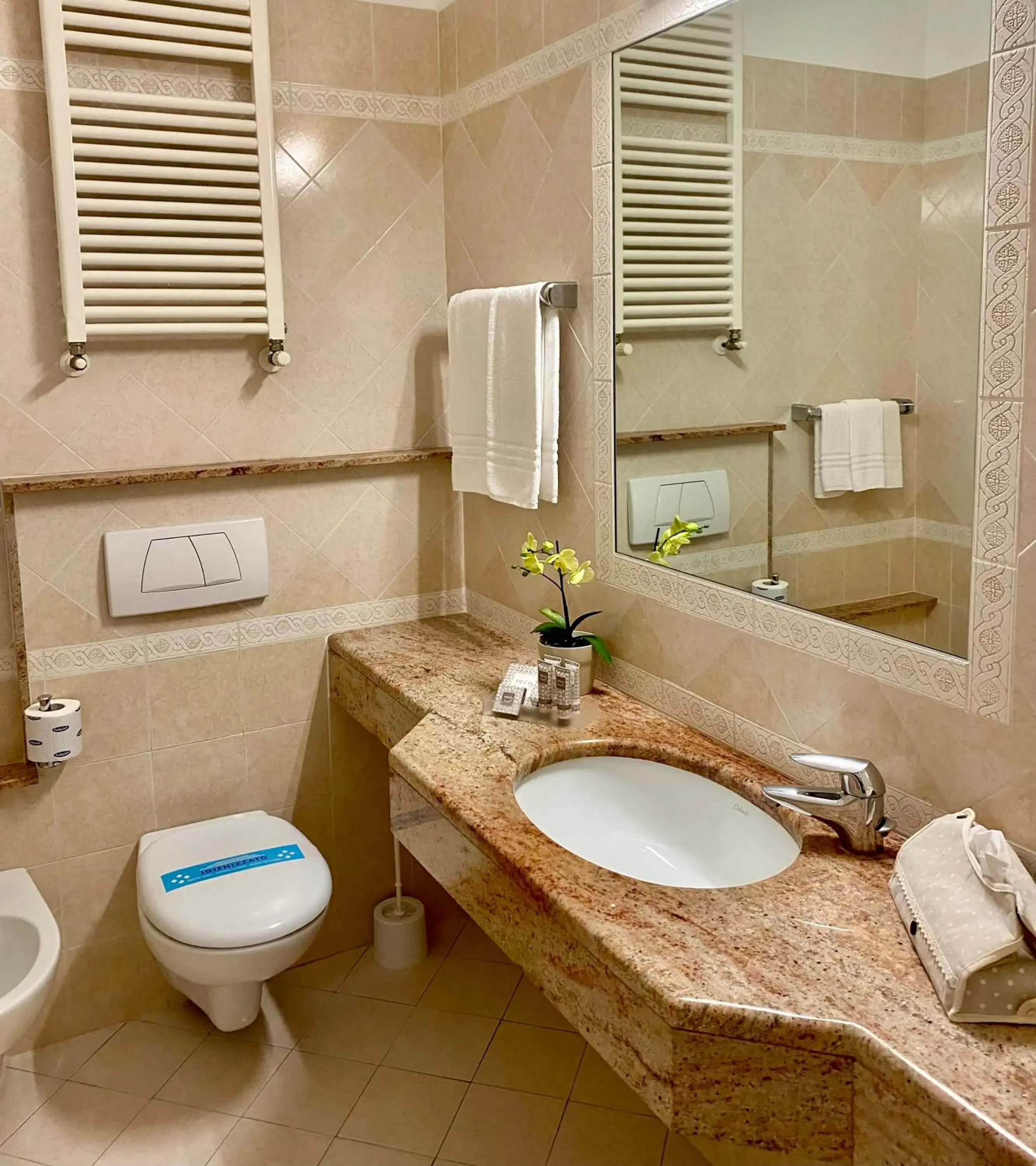 Toilet, Bathroom in Hotel Granada