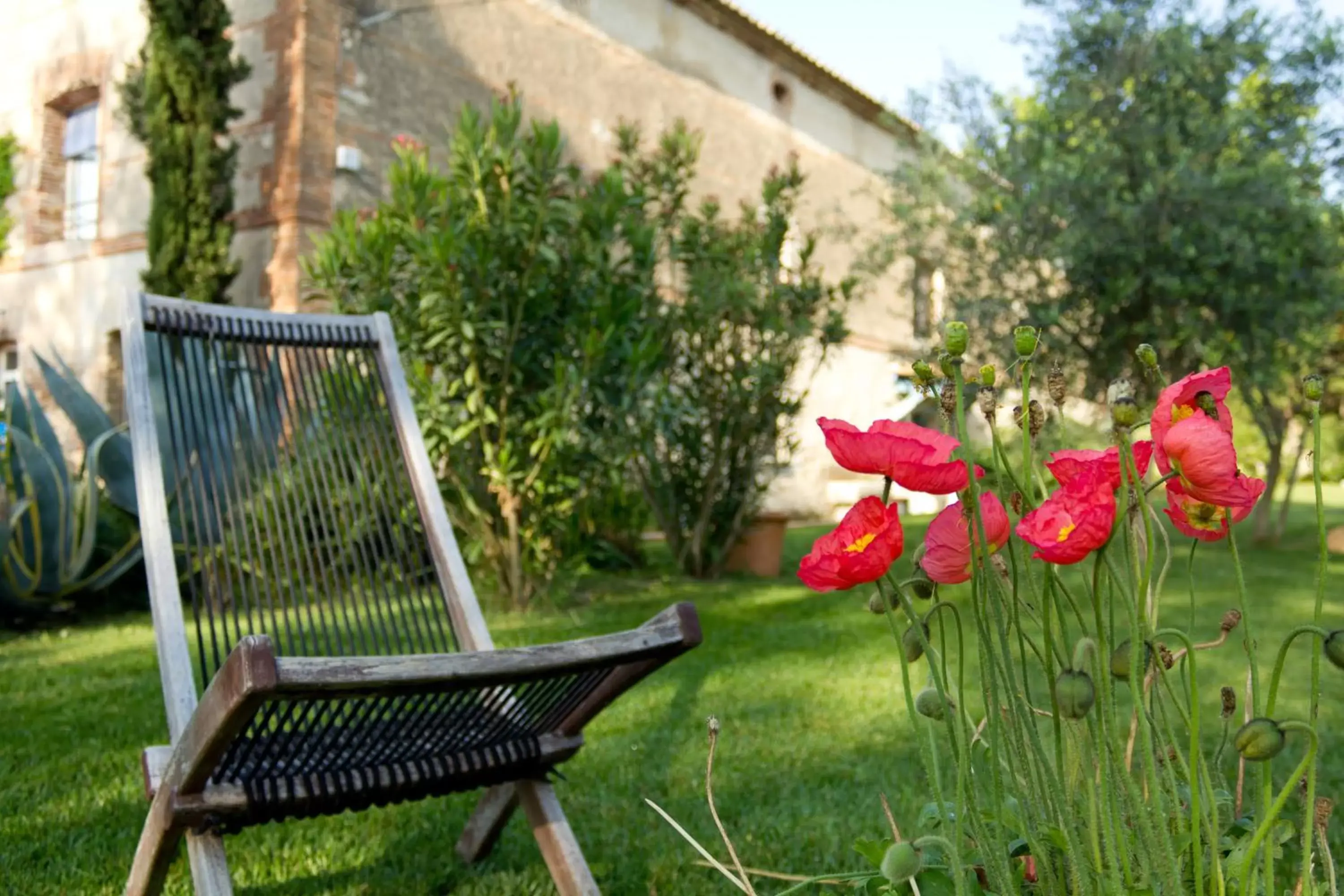 Garden in Le Mas de la Prade