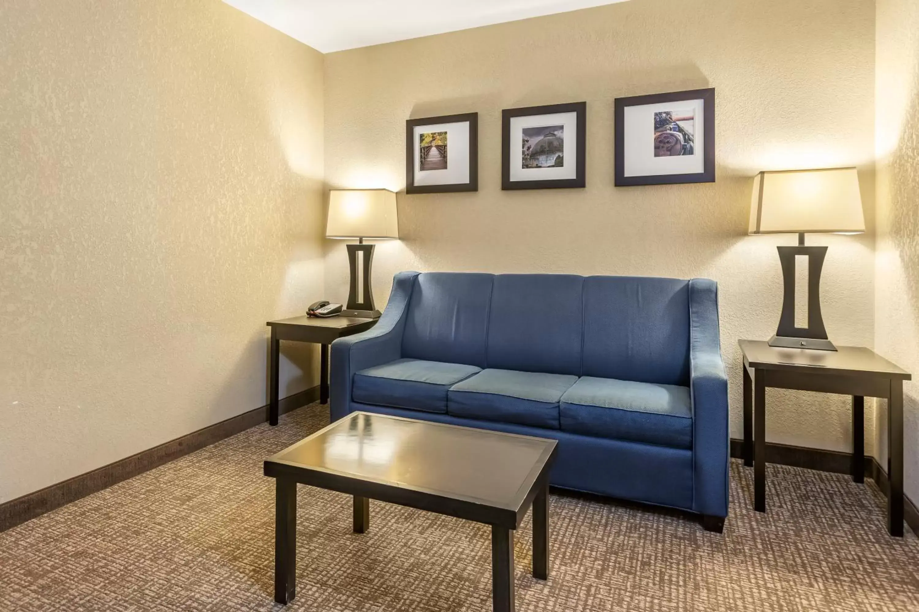 Seating Area in Comfort Inn & Suites Allen Park/Dearborn