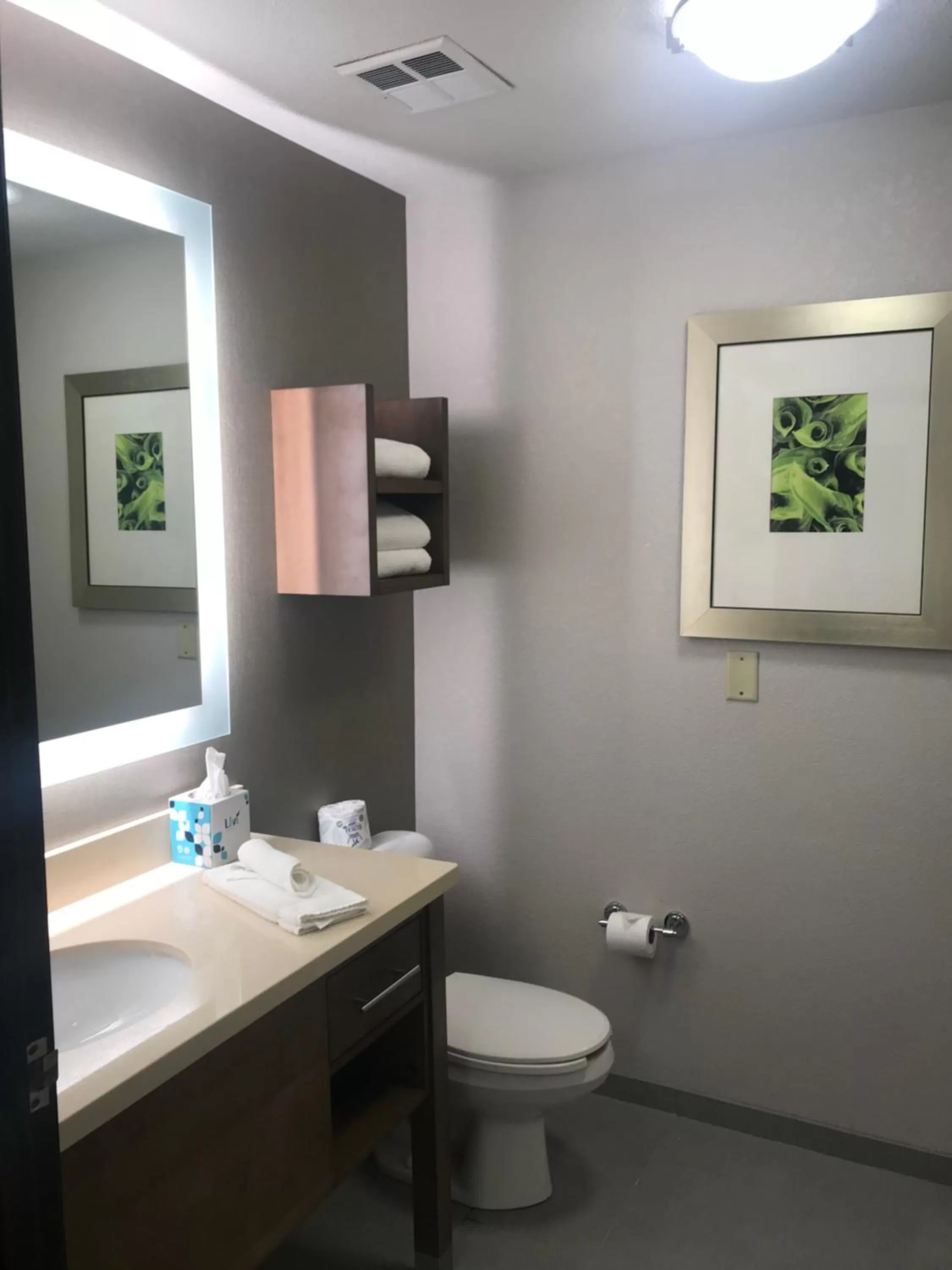 Bathroom in Staybridge Suites Columbia-Highway 63 & I-70 by IHG
