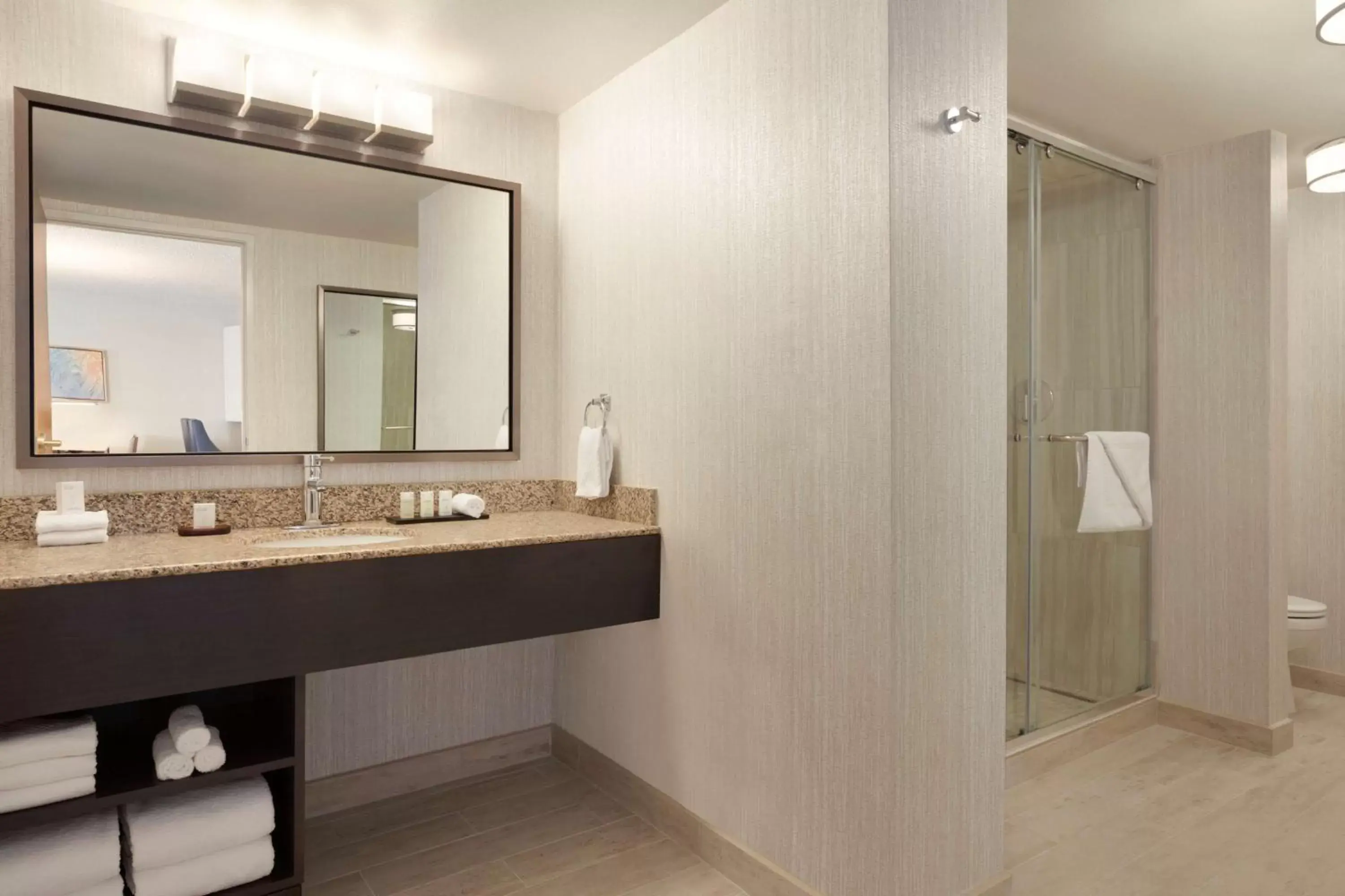 Bathroom in Embassy Suites San Luis Obispo