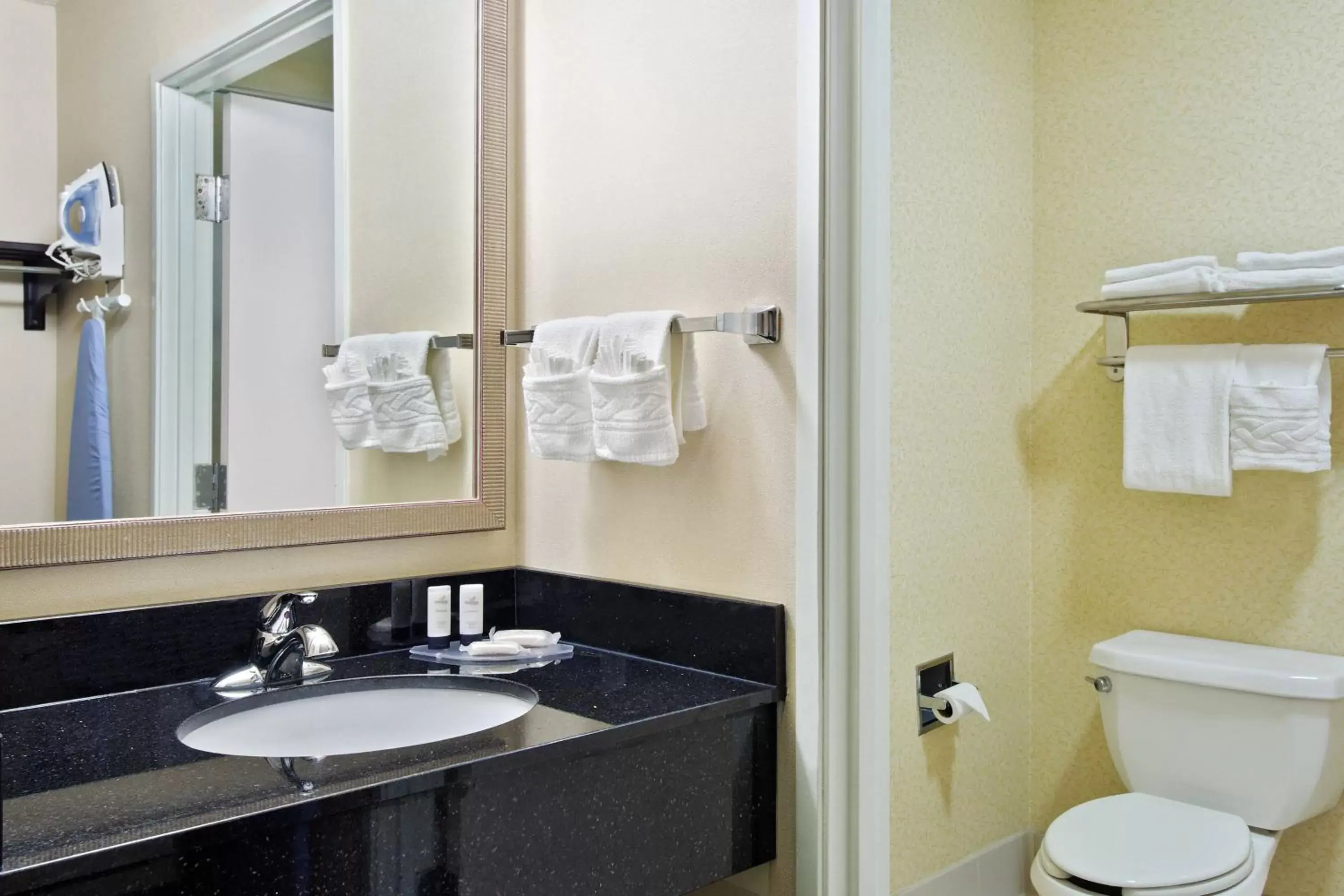 Bathroom in Fairfield Inn and Suites by Marriott Tampa Brandon