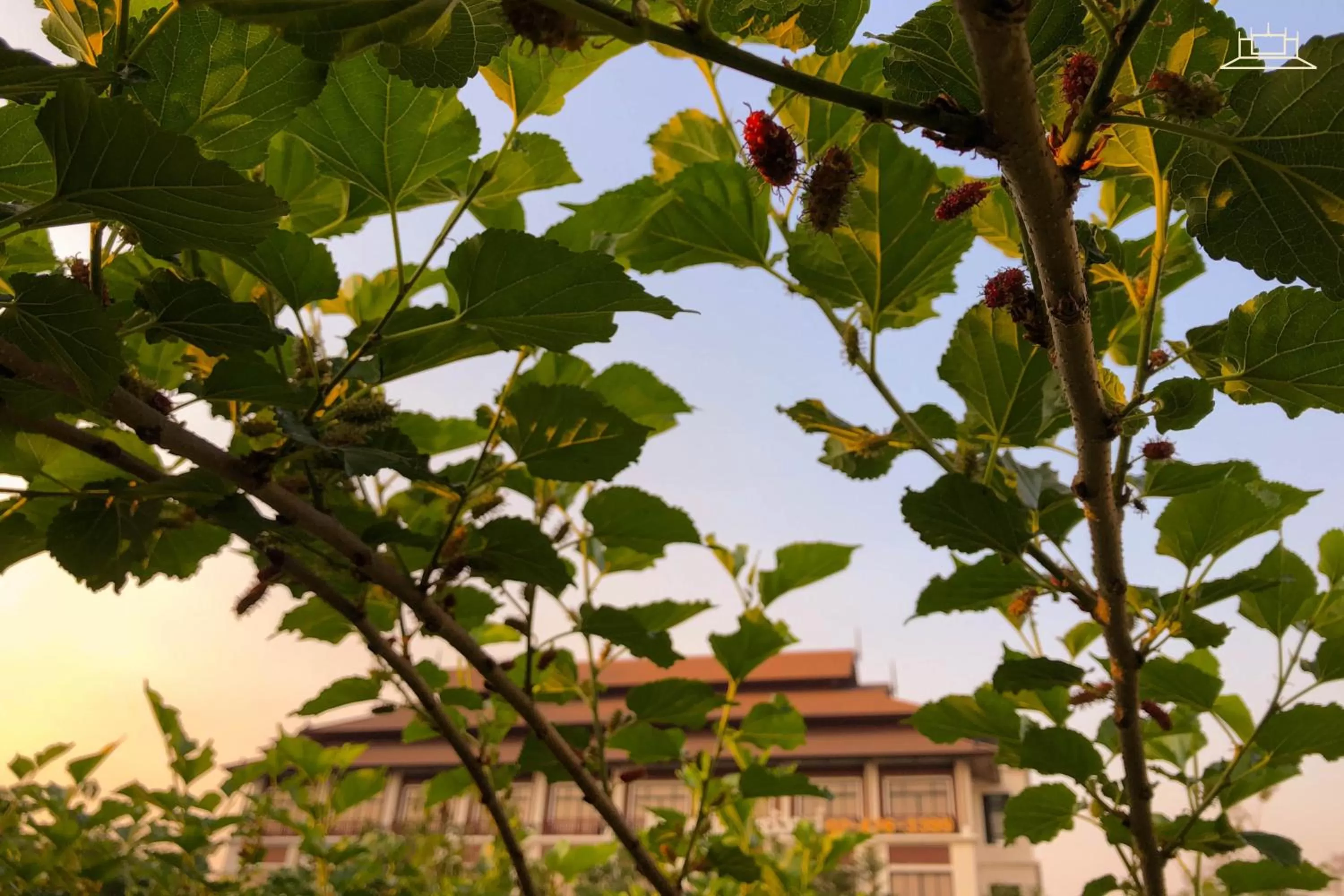 Garden in The Choice Hotel - Adults Only