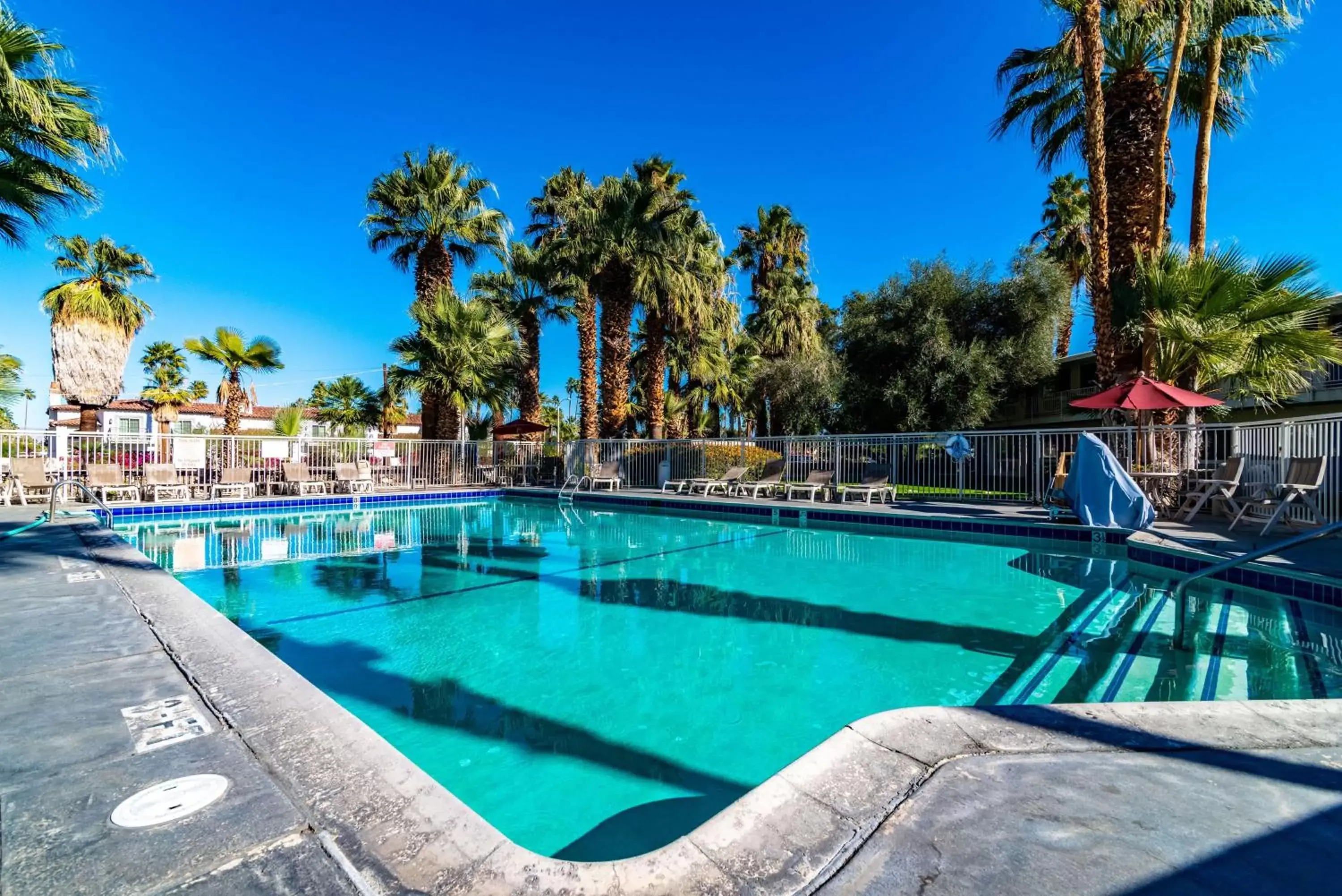 Pool view, Swimming Pool in Motel 6-Palm Springs, CA - East - Palm Canyon