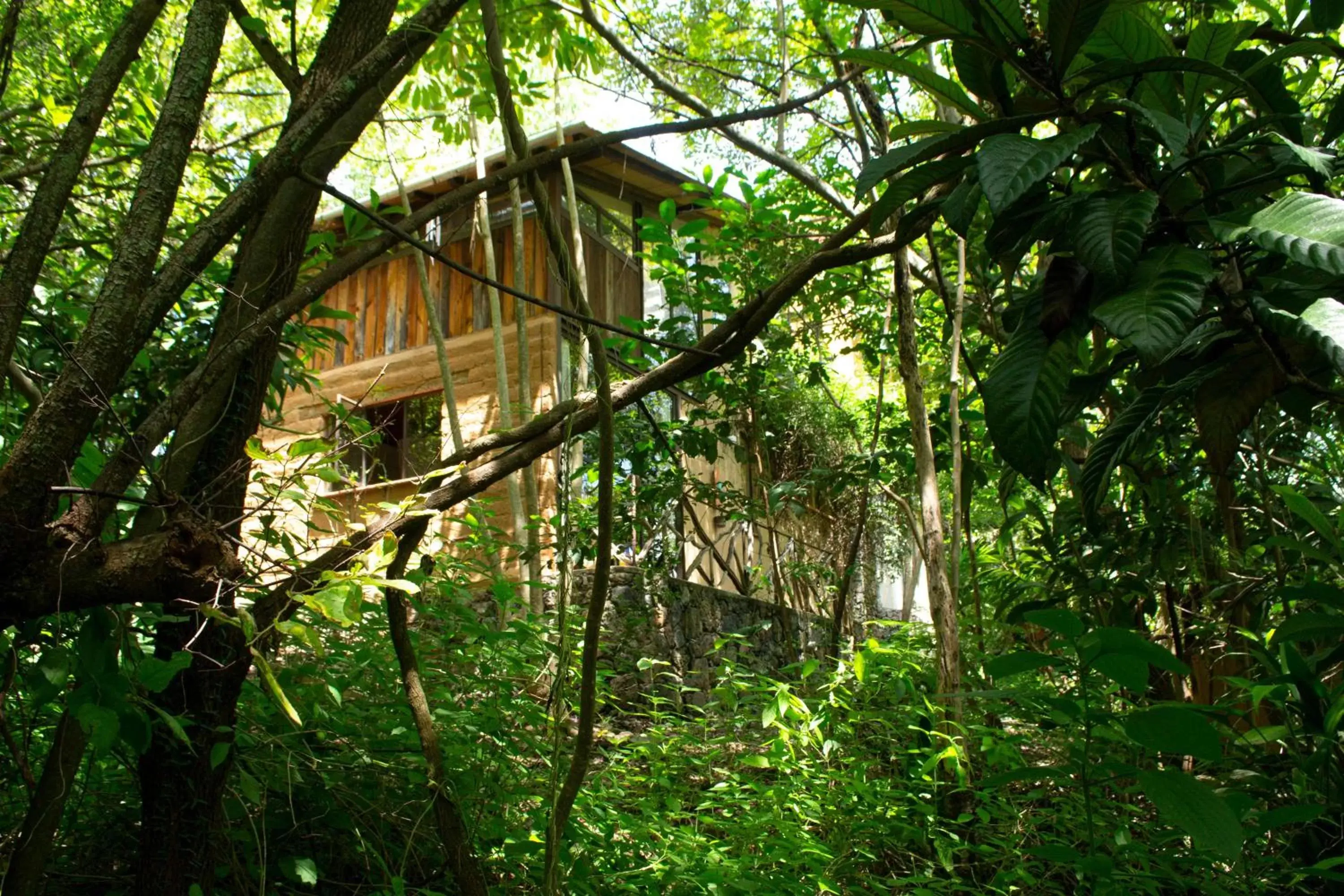 Garden view in Yolitia Wellness