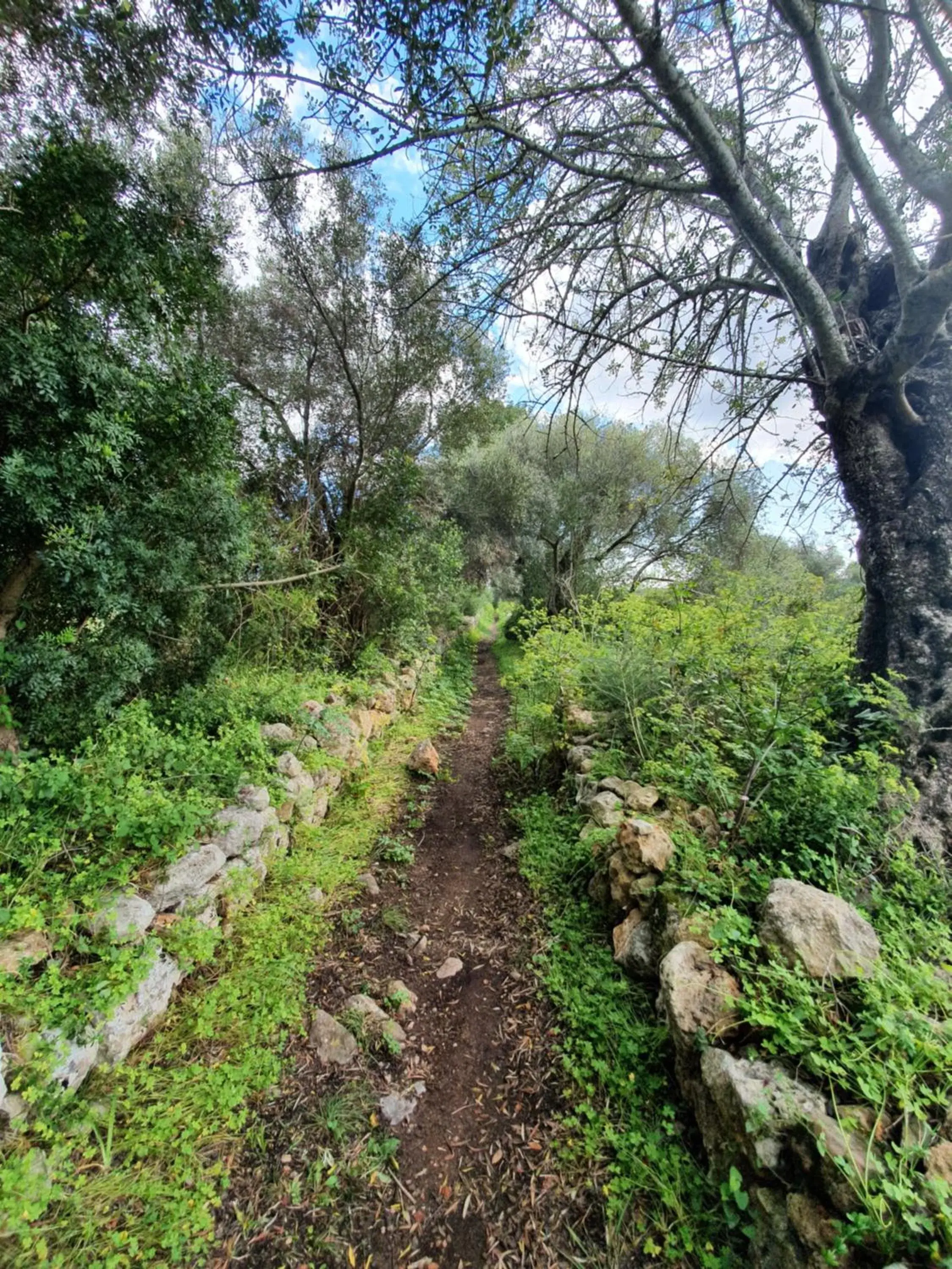 Natural landscape in Clube Maria Luisa