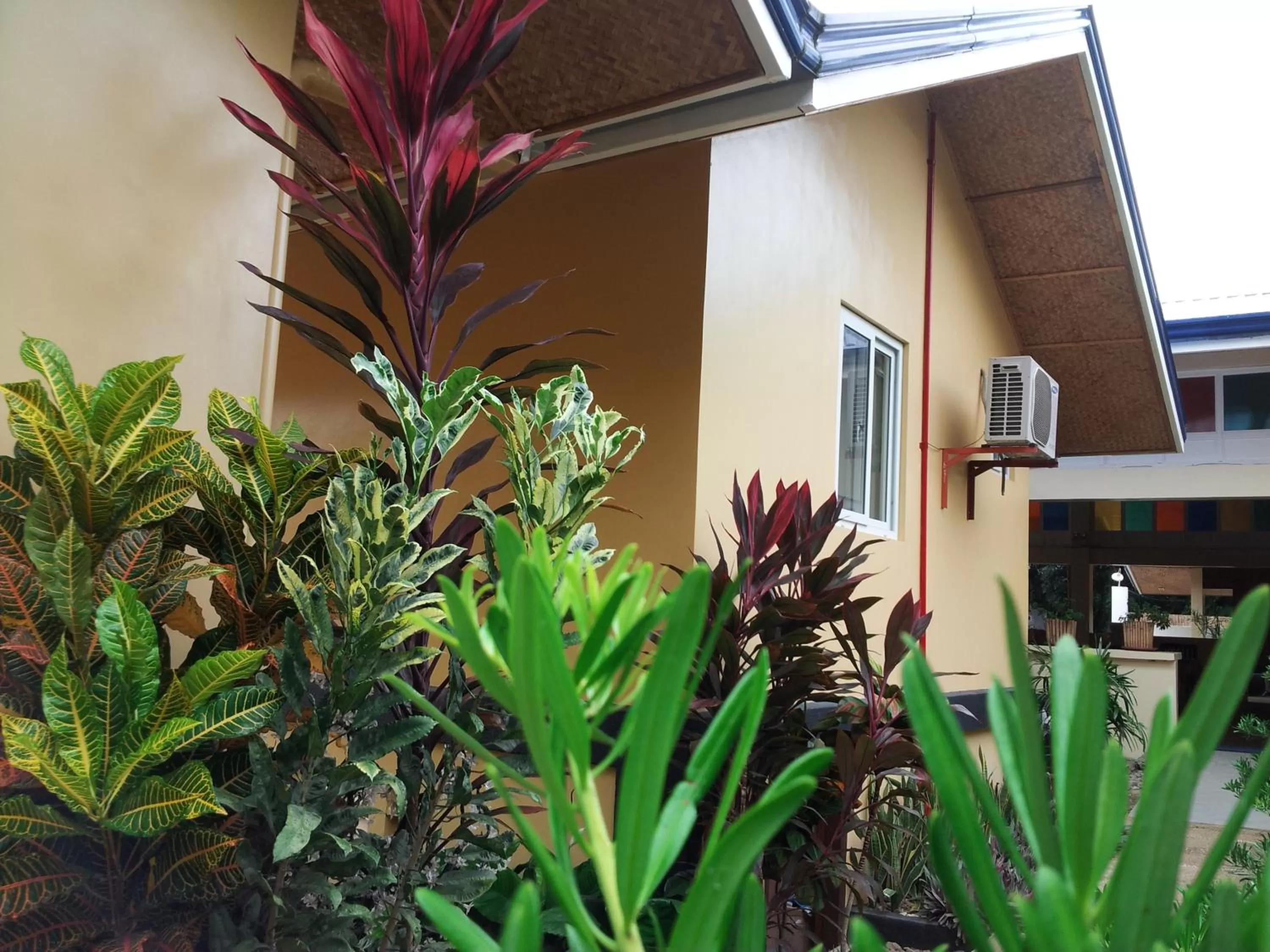 Garden in Blue Lagoon Inn & Suites