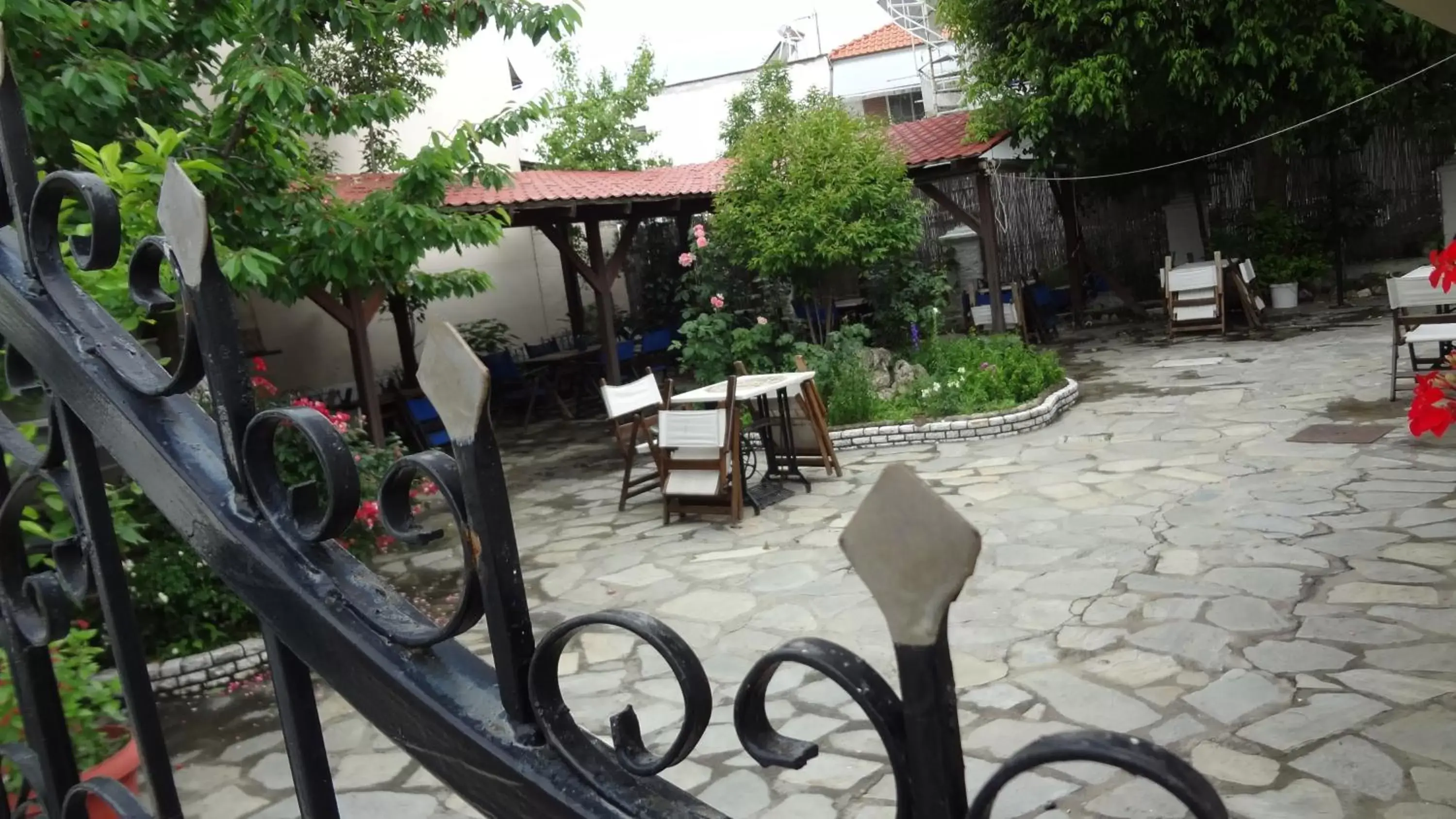 Patio, Restaurant/Places to Eat in Acropolis Hotel