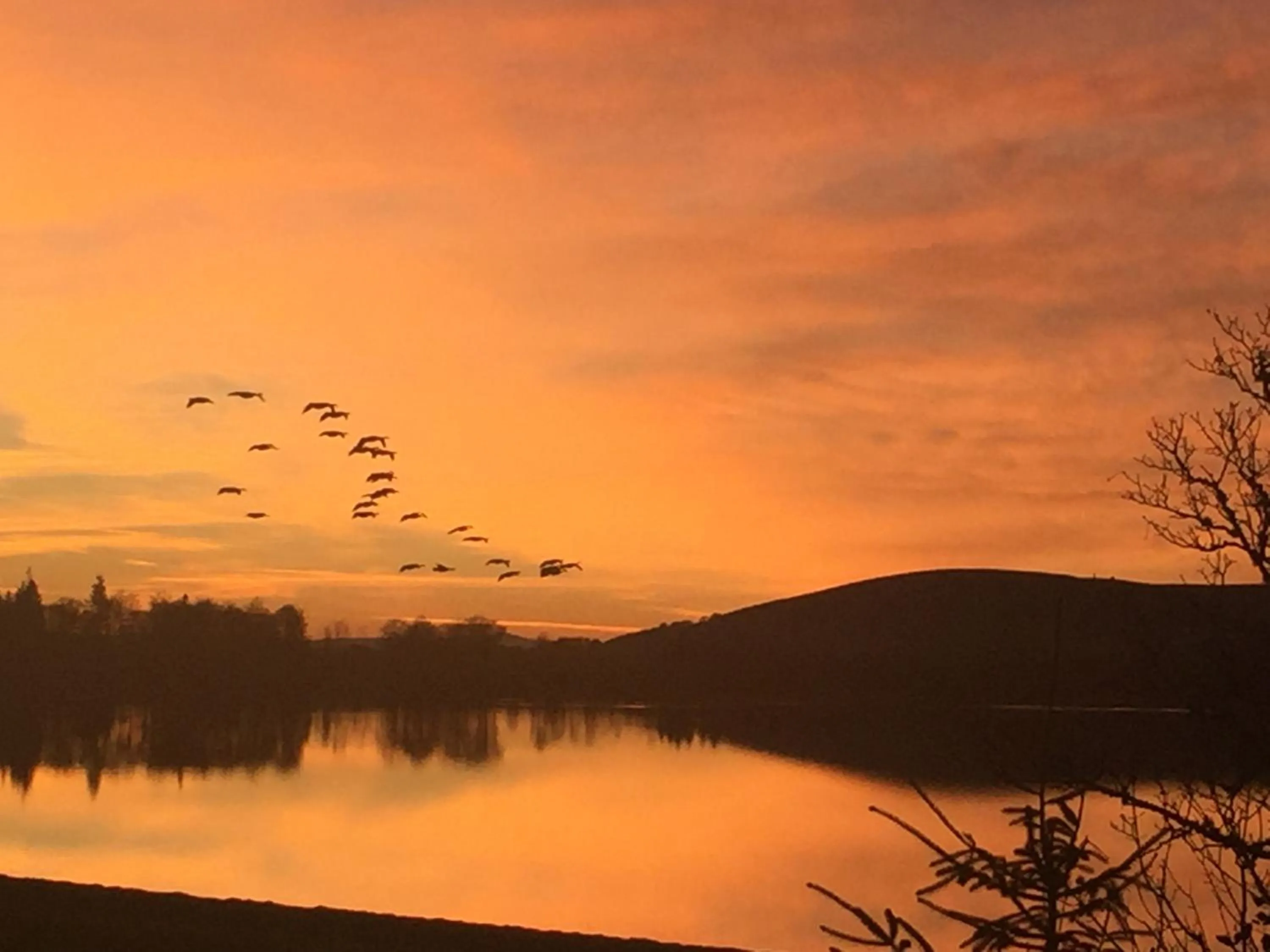 Natural landscape in Lodge at Lochside