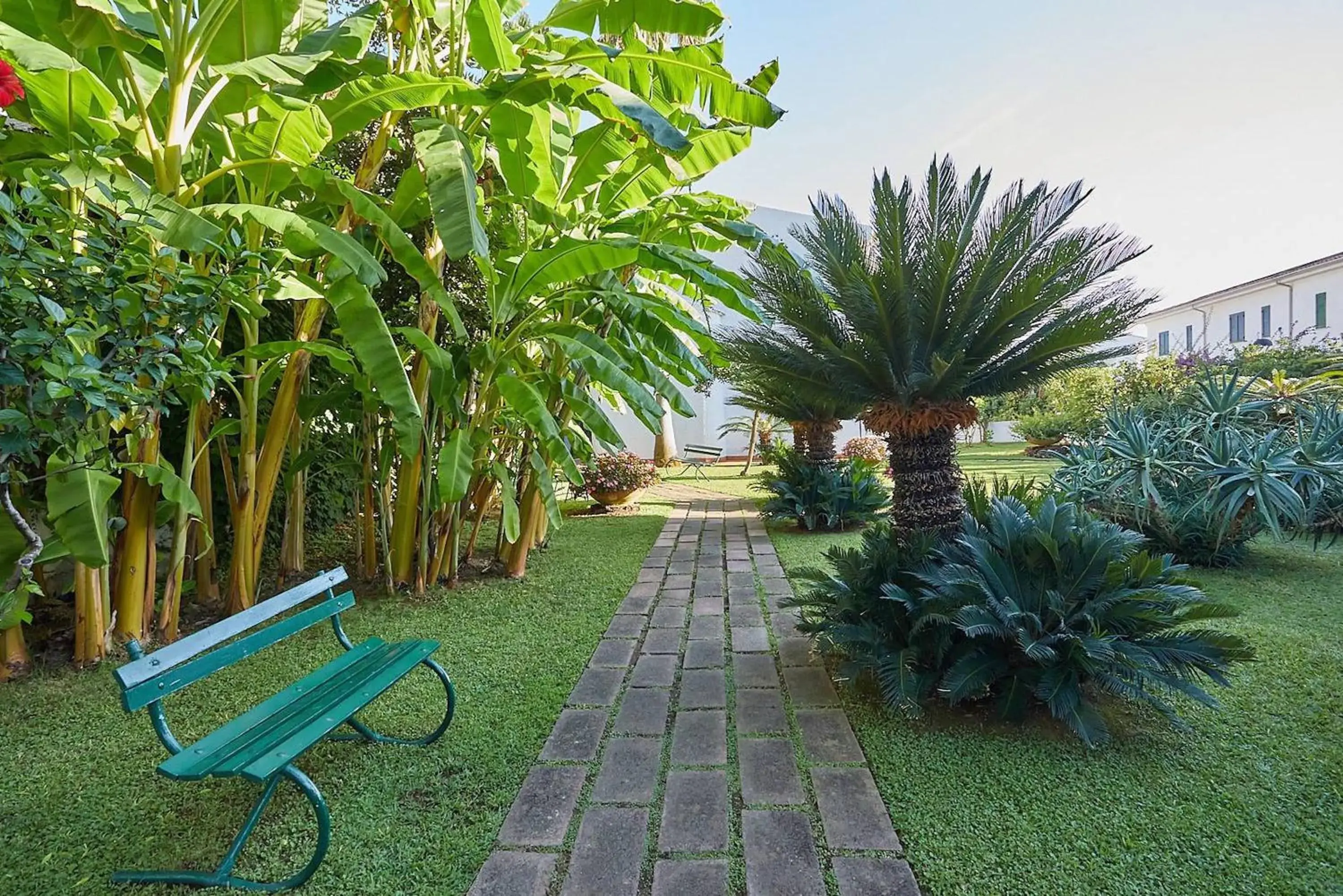 Garden in Hotel Poseidon