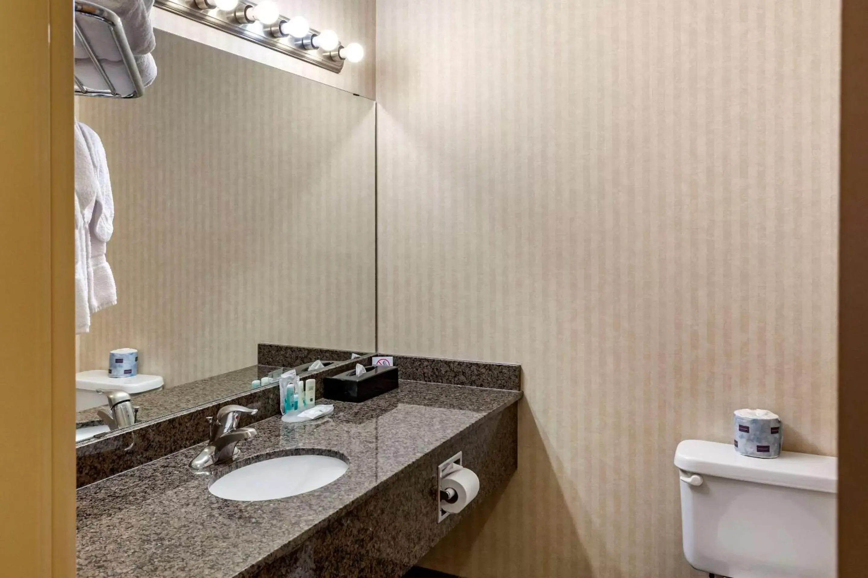 Bathroom in Quality Inn & Suites Edmonton International Airport