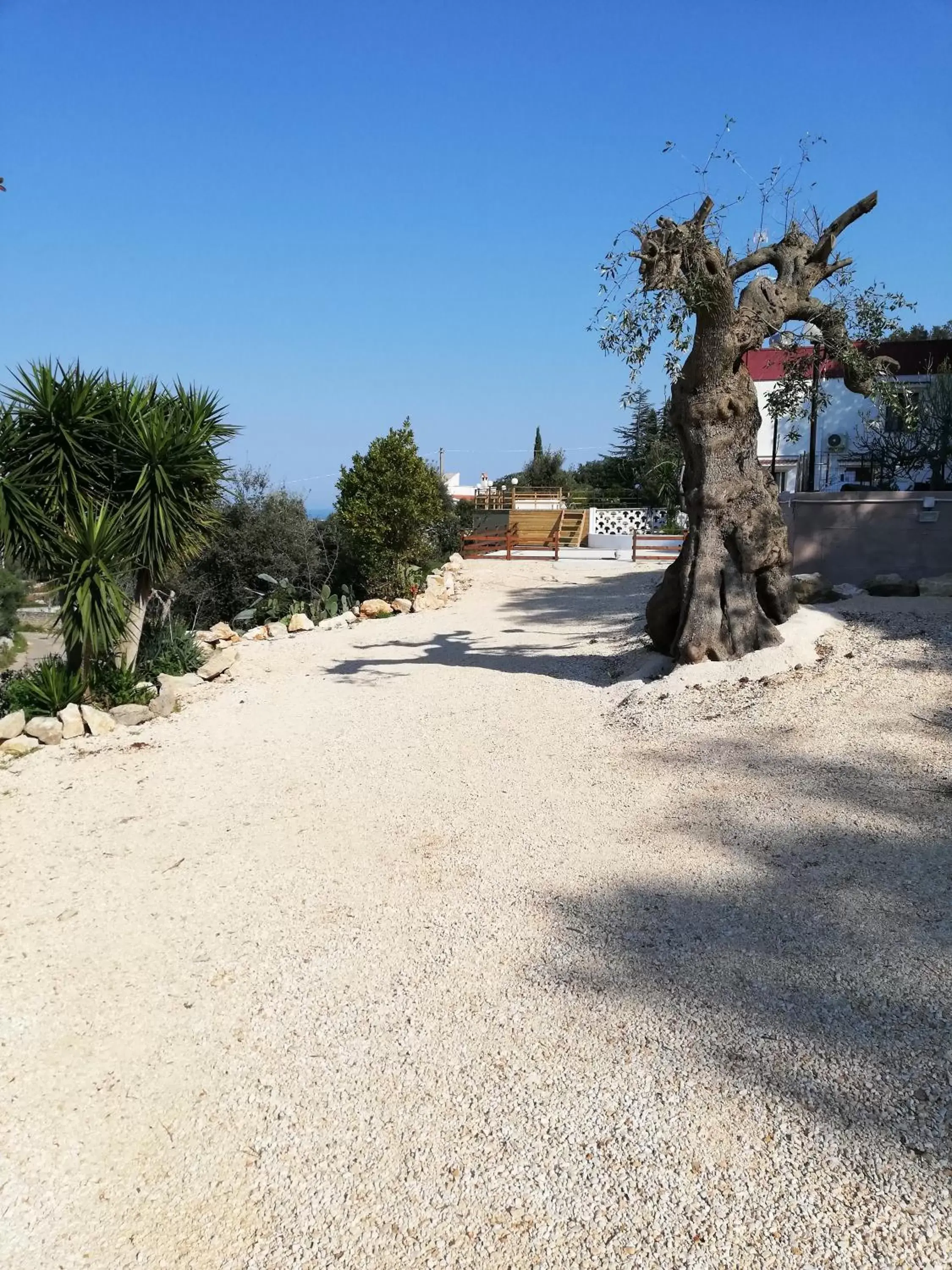 Parking, Beach in Le Dimore Del Sarto rooms