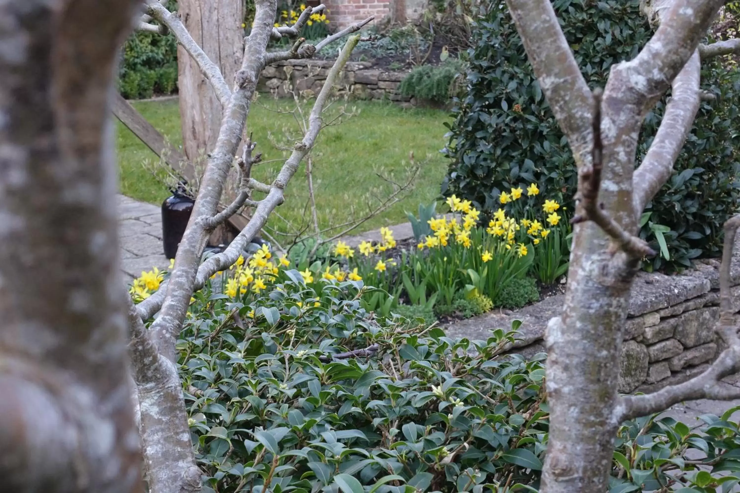 Garden in One Holyrood Hotel & Cafe