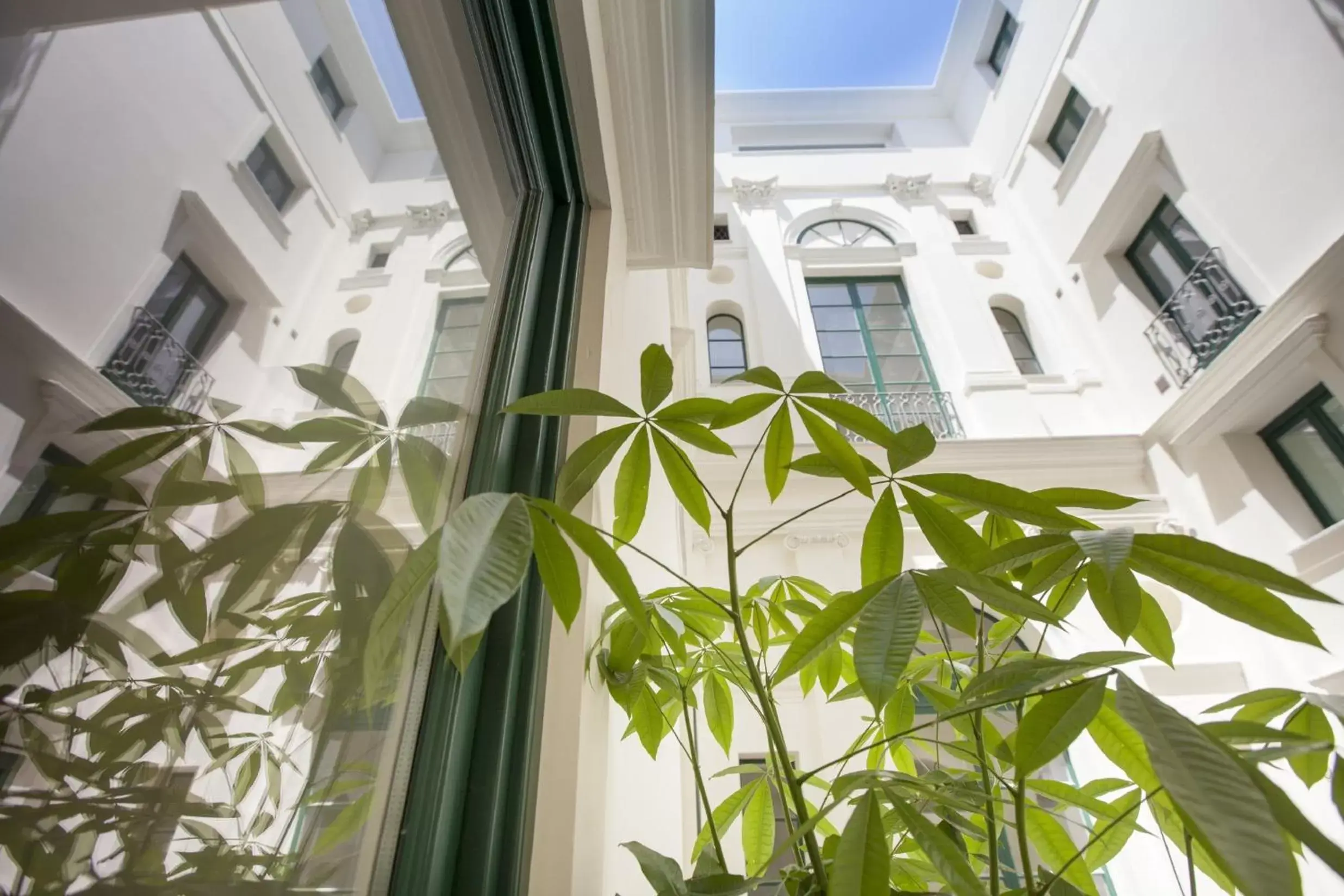 Decorative detail, Balcony/Terrace in Central Gallery Rooms- Palazzo D'Ali' Staiti XIX