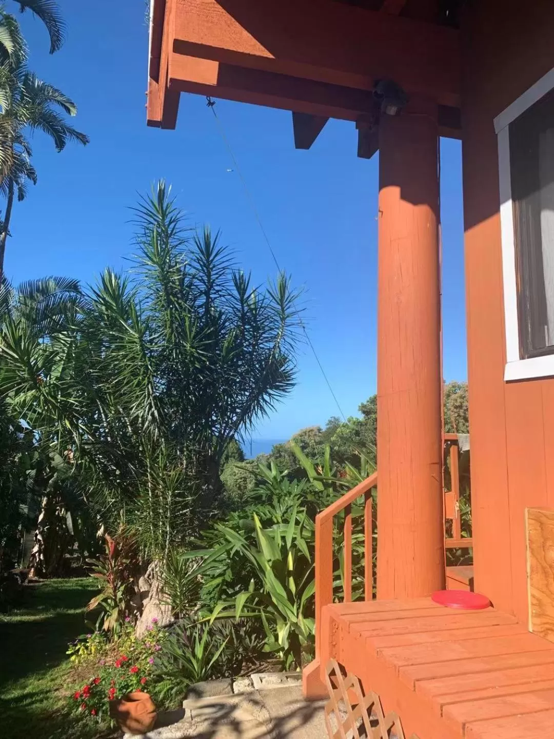 Balcony/Terrace in Coffee Garden