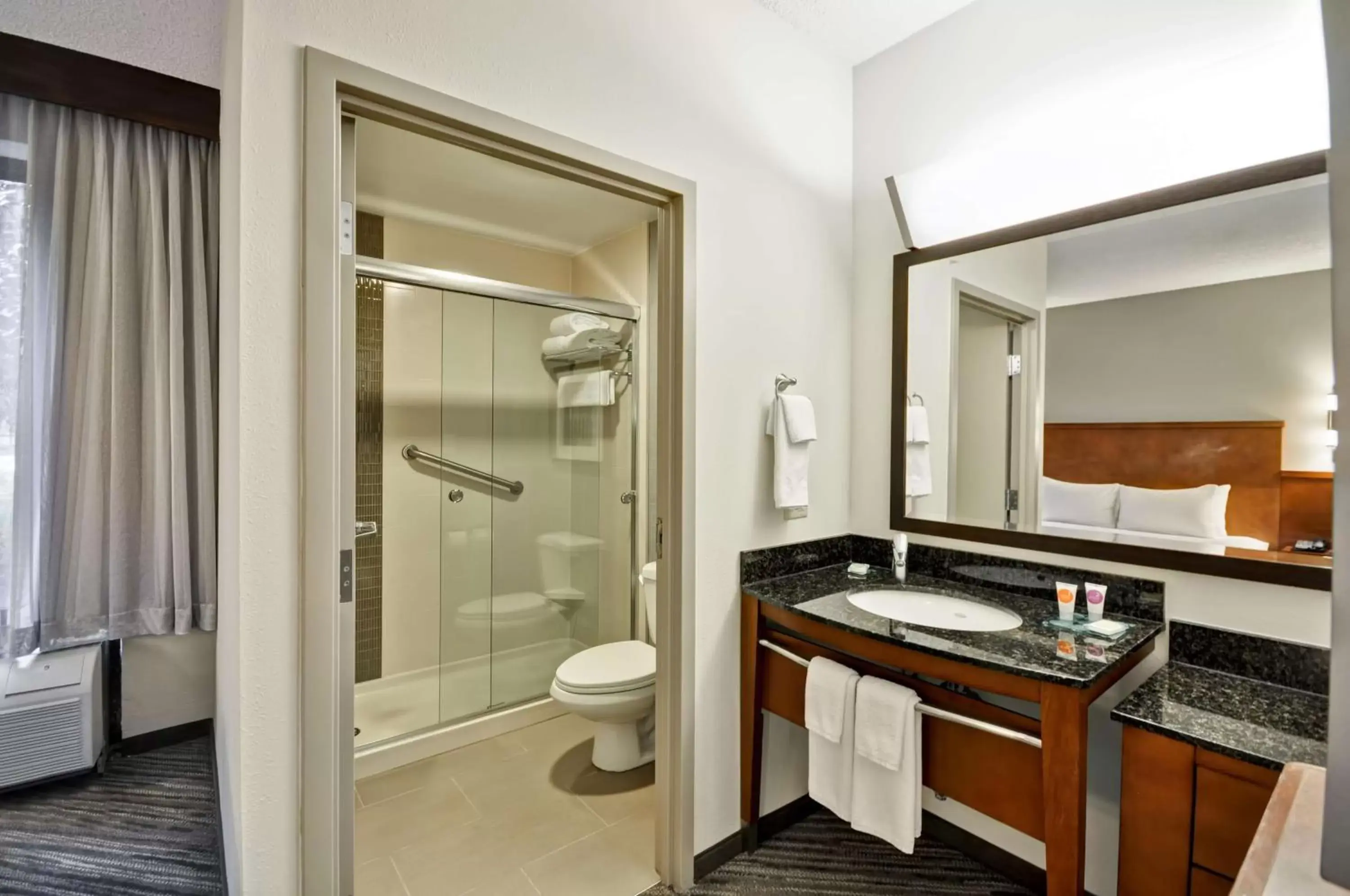 Bathroom in Hyatt Place Tampa Airport/Westshore