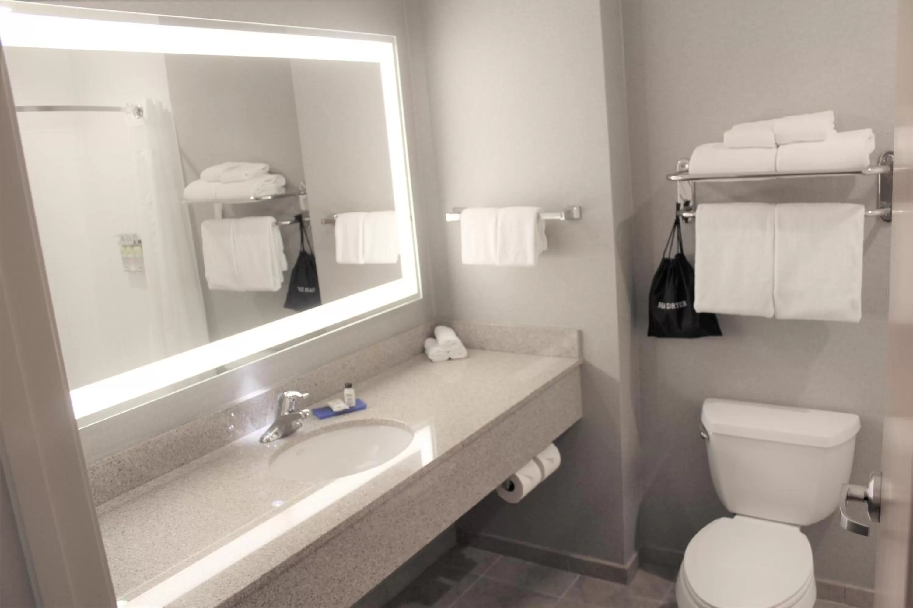 Bathroom in Holiday Inn Express & Suites Cheney by IHG