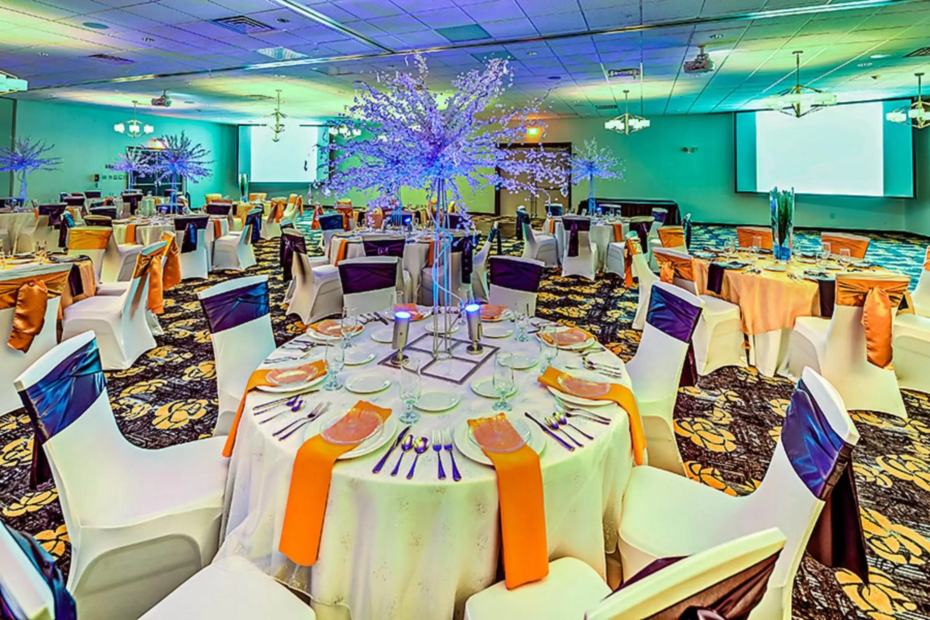 Meeting/conference room, Banquet Facilities in Holiday Inn Cleveland Northeast - Mentor, an IHG Hotel