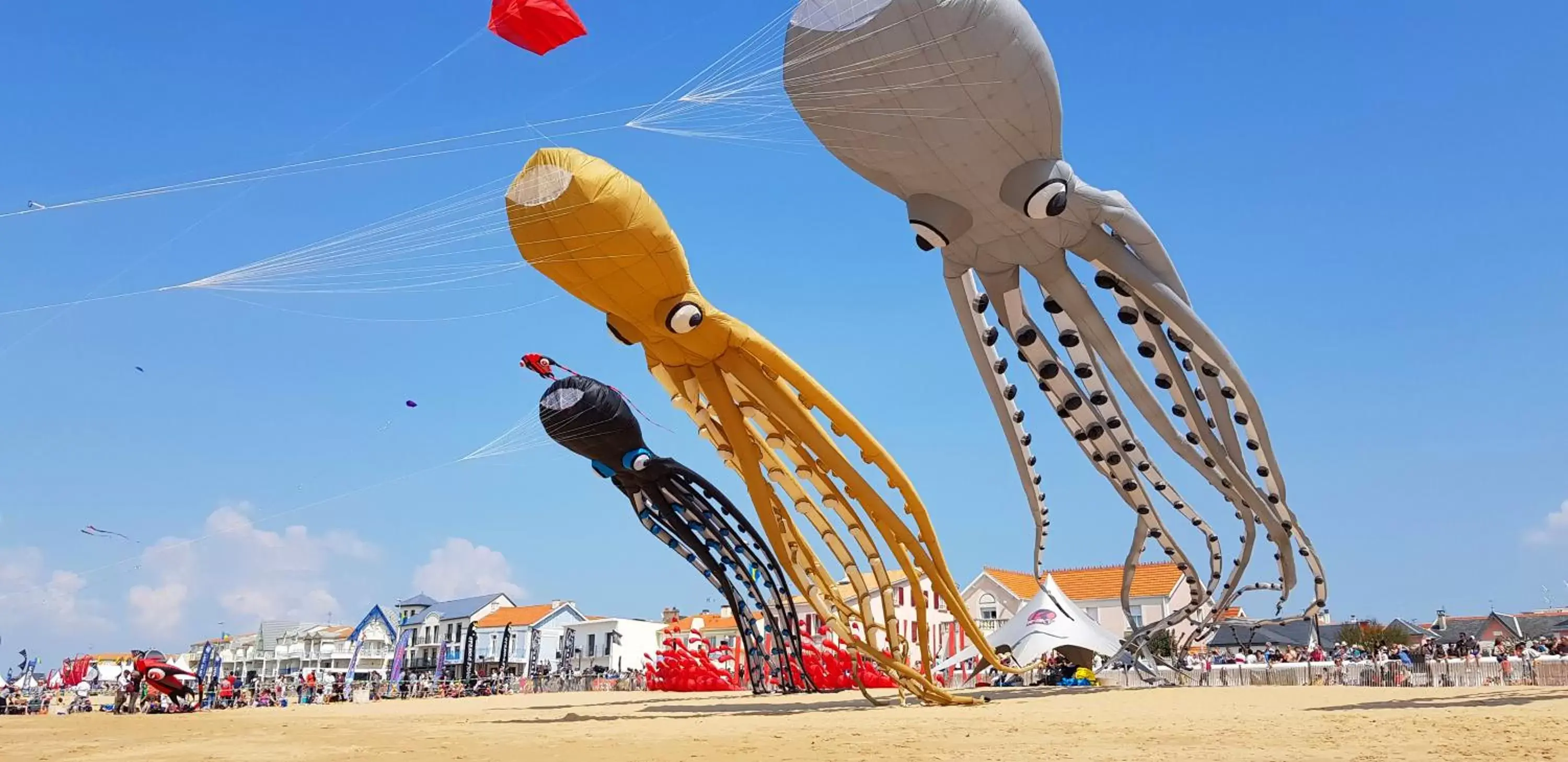 Beach, Other Activities in Les Flots - Hôtel et Restaurant face à l'océan - Châtelaillon-Plage