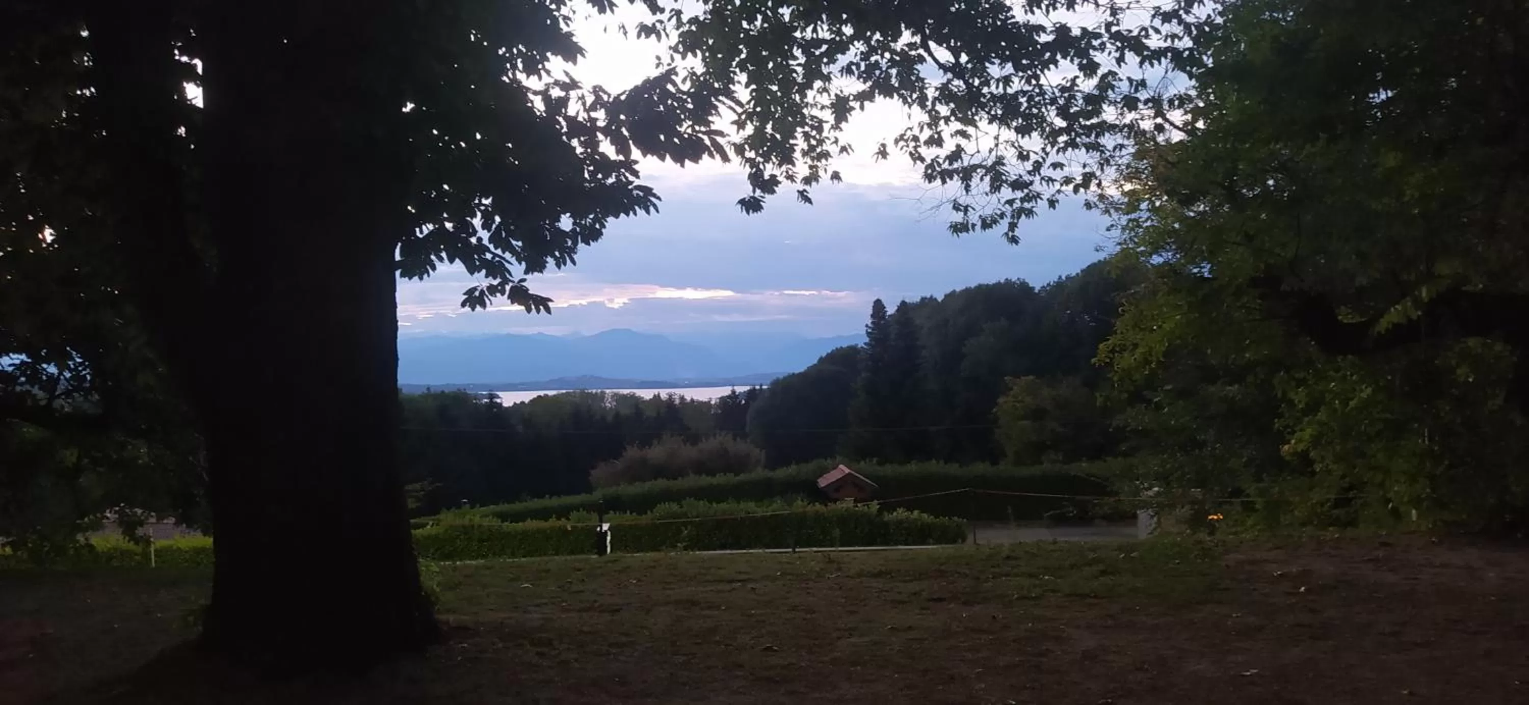 Natural landscape in "La Selvetta" bed and breakfast